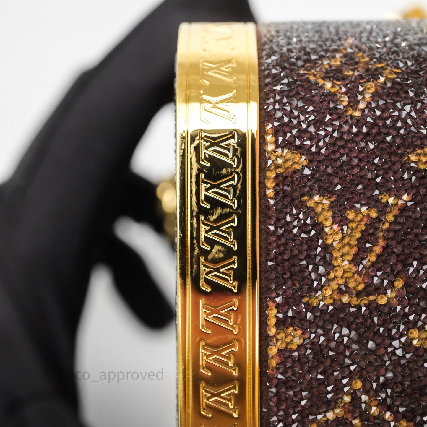 Louis Vuitton Treasure Box Crystals Monogram