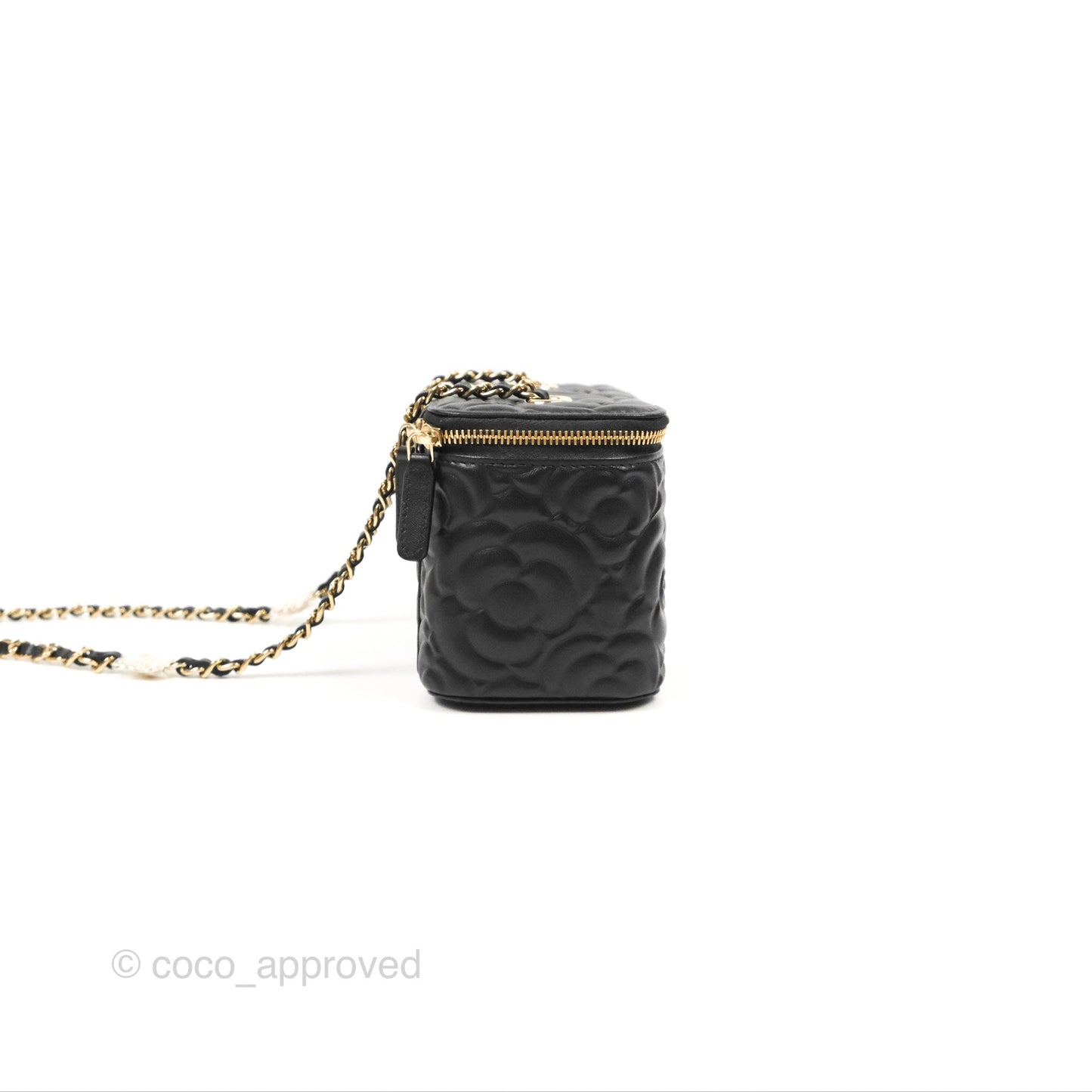 Chanel Vanity Rectangular Camellia Embossed Black Calfskin Gold Hardware