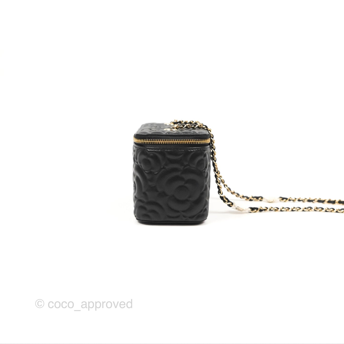 Chanel Vanity Rectangular Camellia Embossed Black Calfskin Gold Hardware