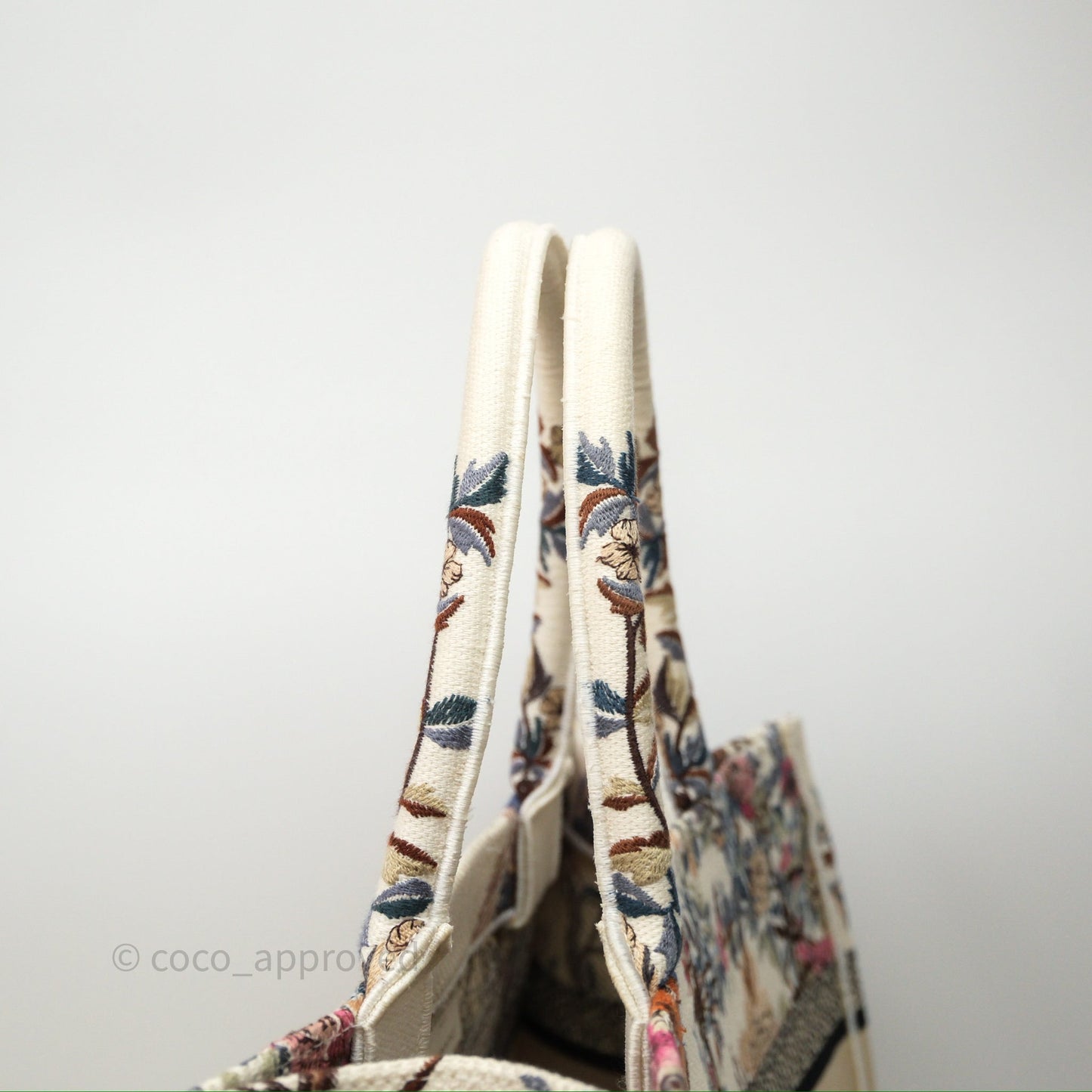 Christian Dior Medium Book Tote Dardin D'Hiver