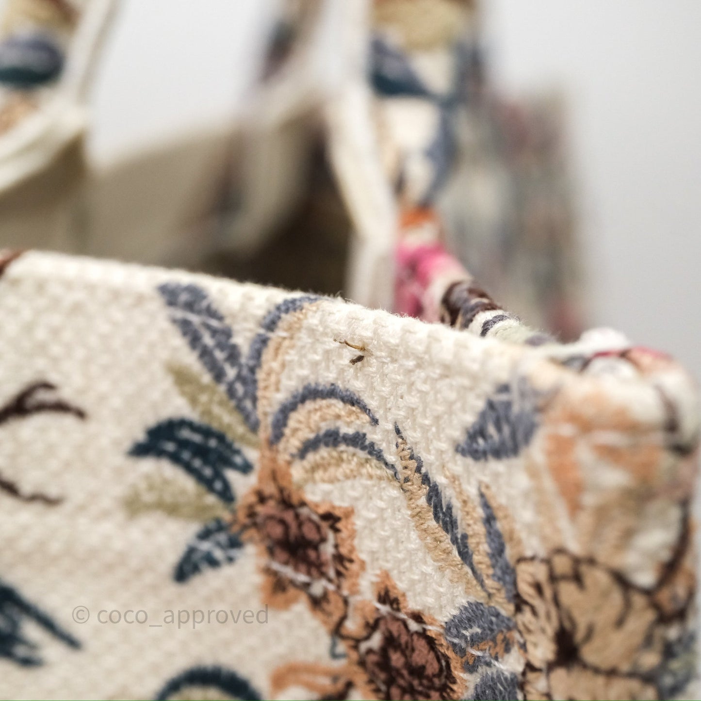 Christian Dior Medium Book Tote Dardin D'Hiver