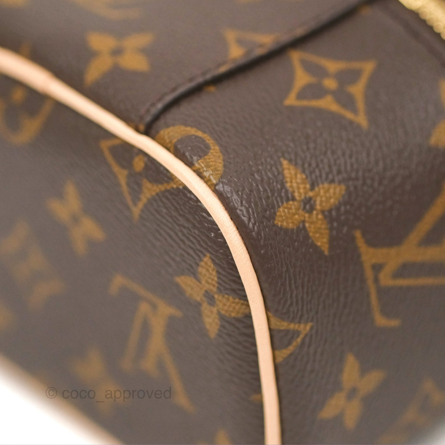 Louis Vuitton Nano Nice Monogram