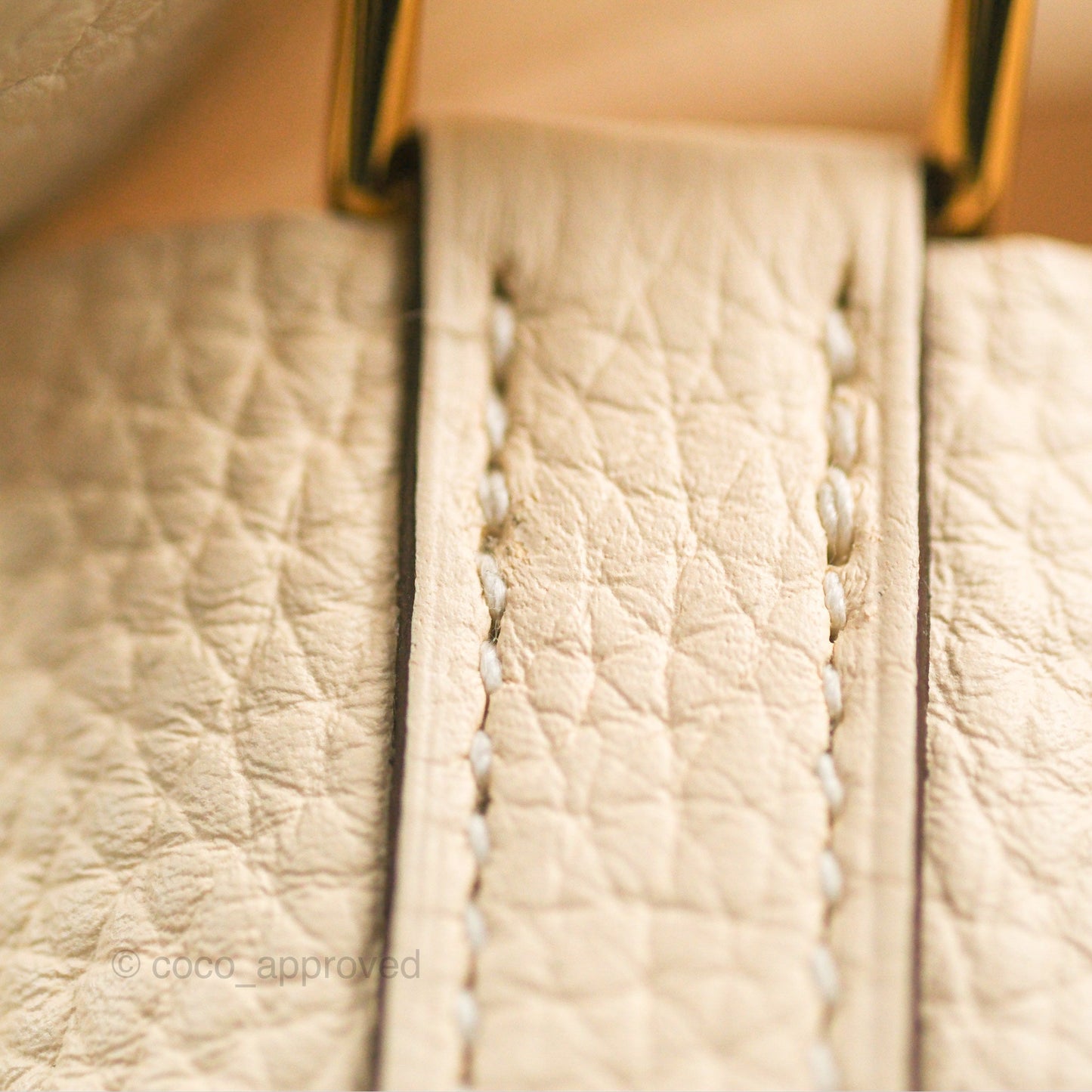 Hermès Picotin 22 Nata Clemence Gold Hardware