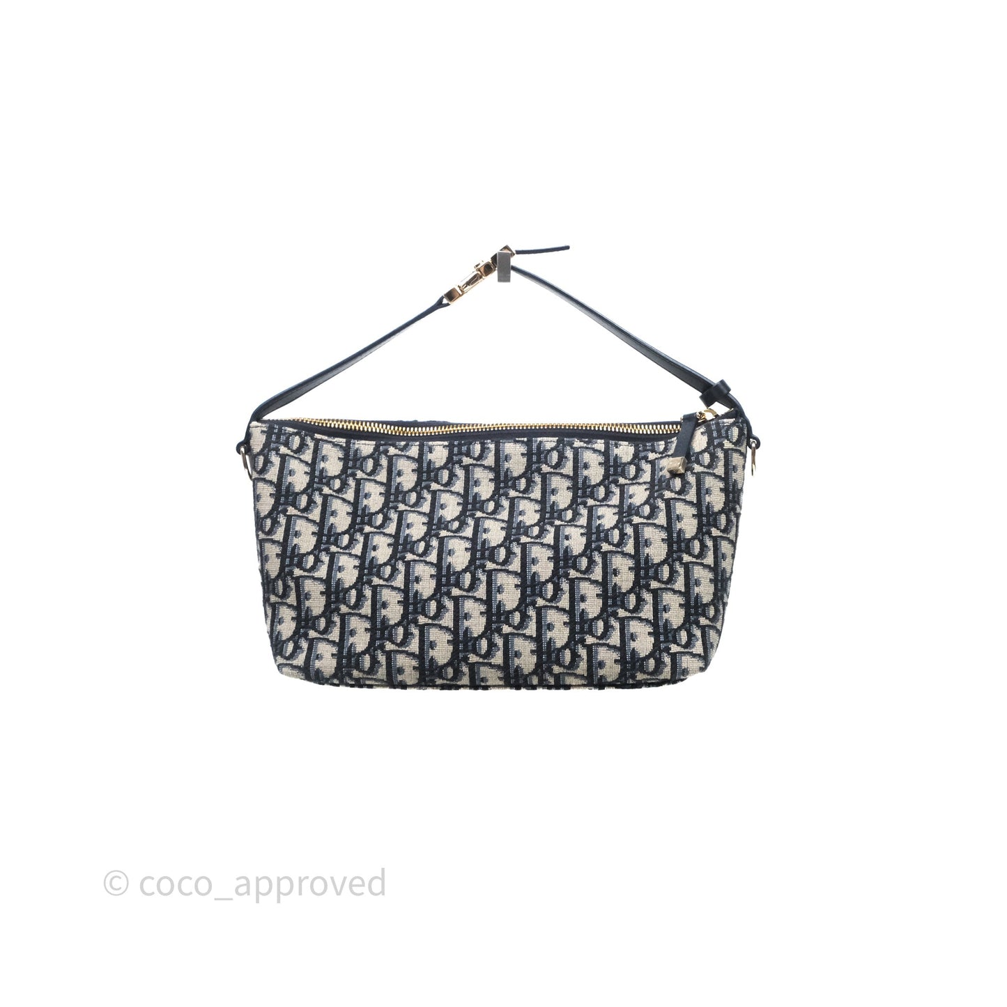 Christian Dior Medium Travel Nomad Pouch Light Gold Hardware