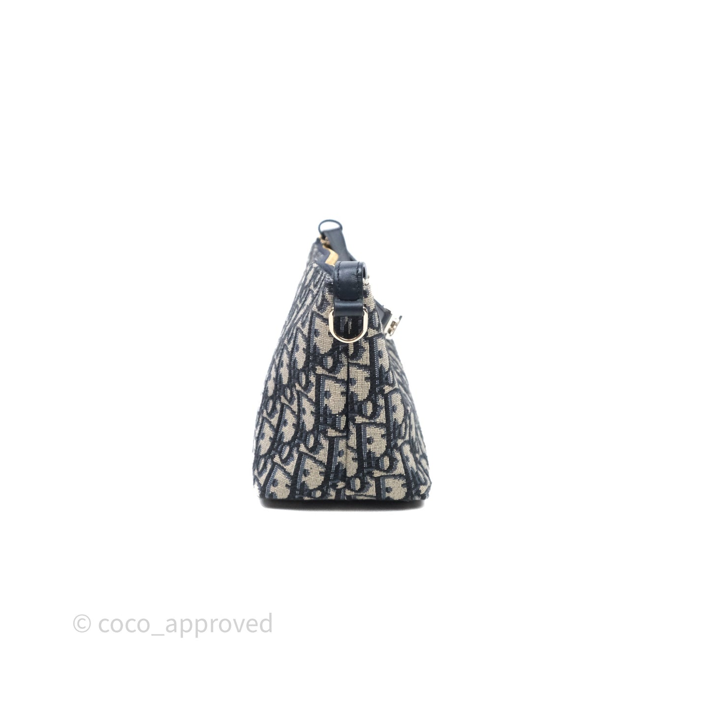 Christian Dior Medium Travel Nomad Pouch Light Gold Hardware