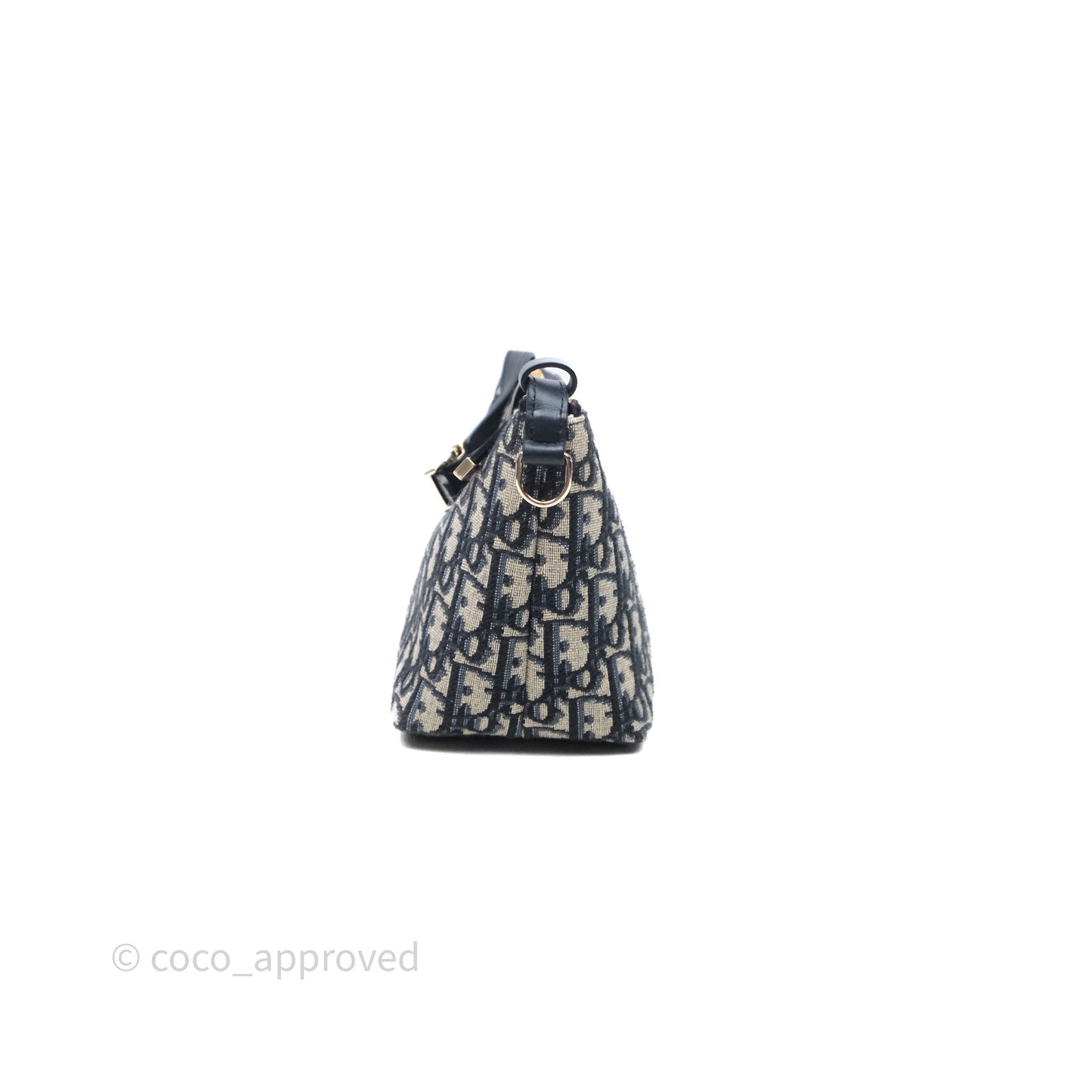 Christian Dior Medium Travel Nomad Pouch Light Gold Hardware