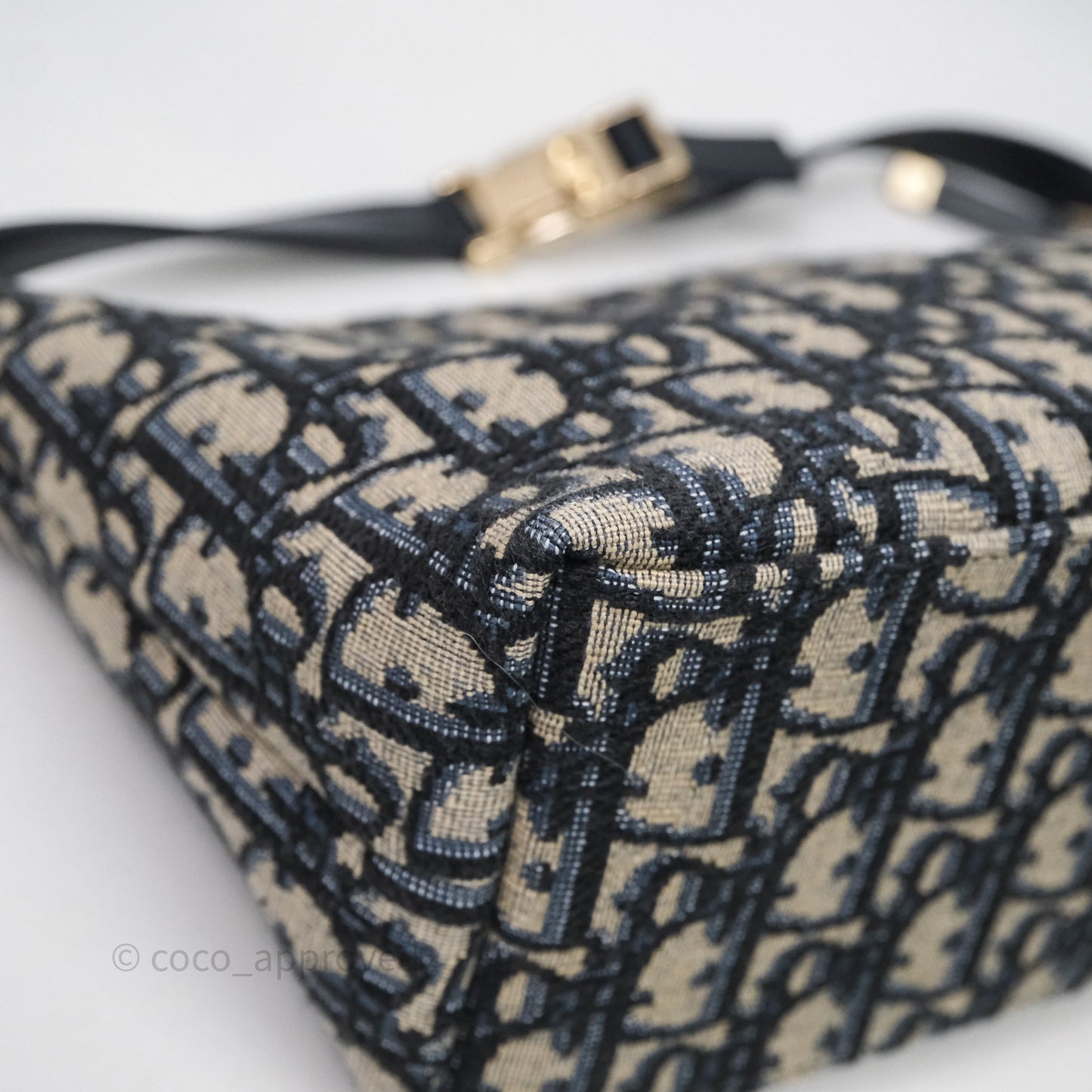 Christian Dior Medium Travel Nomad Pouch Light Gold Hardware