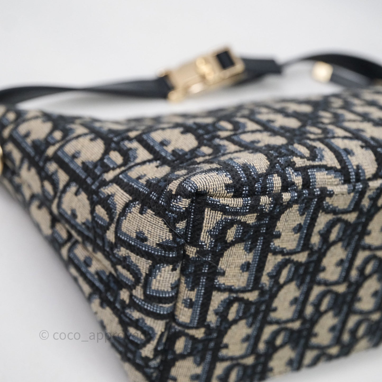 Christian Dior Medium Travel Nomad Pouch Light Gold Hardware