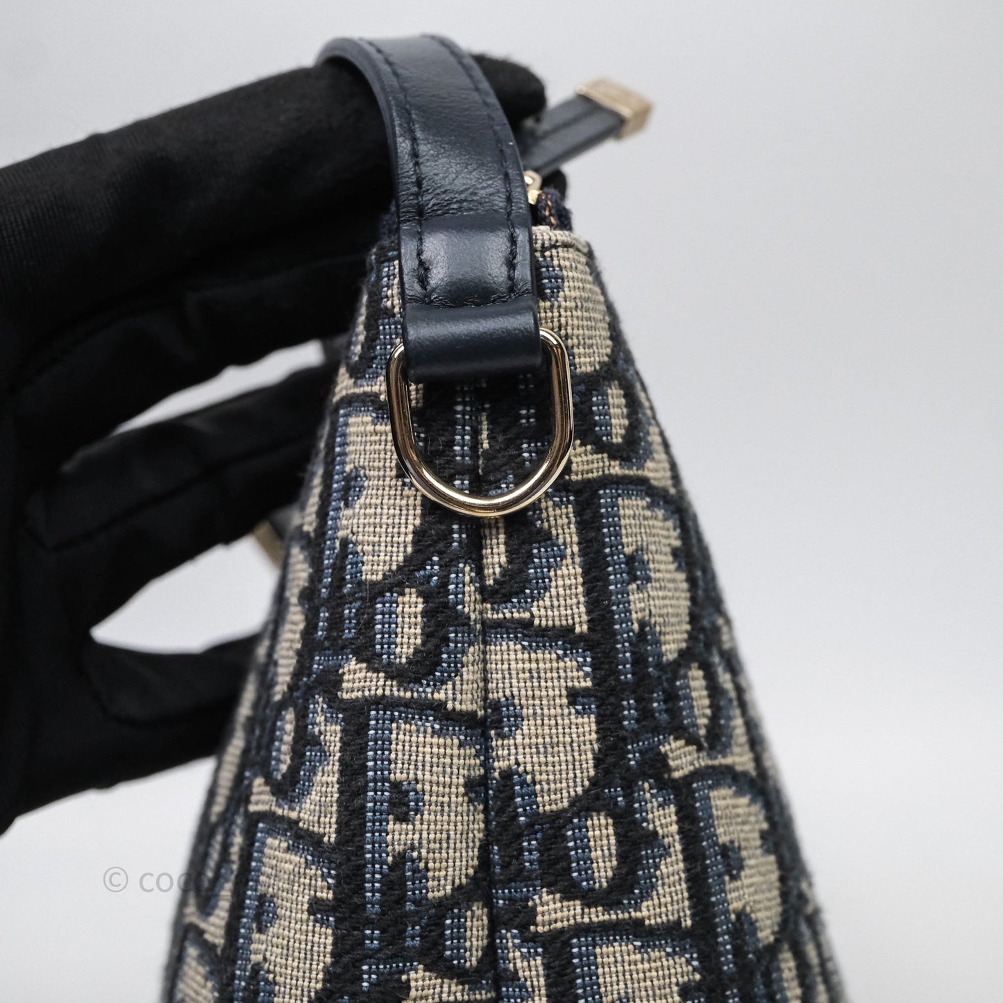 Christian Dior Medium Travel Nomad Pouch Light Gold Hardware