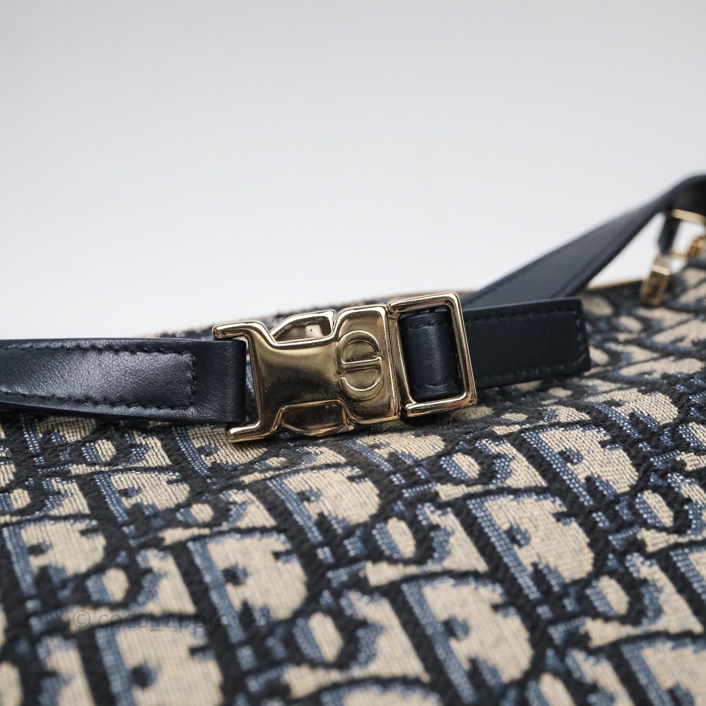 Christian Dior Medium Travel Nomad Pouch Light Gold Hardware
