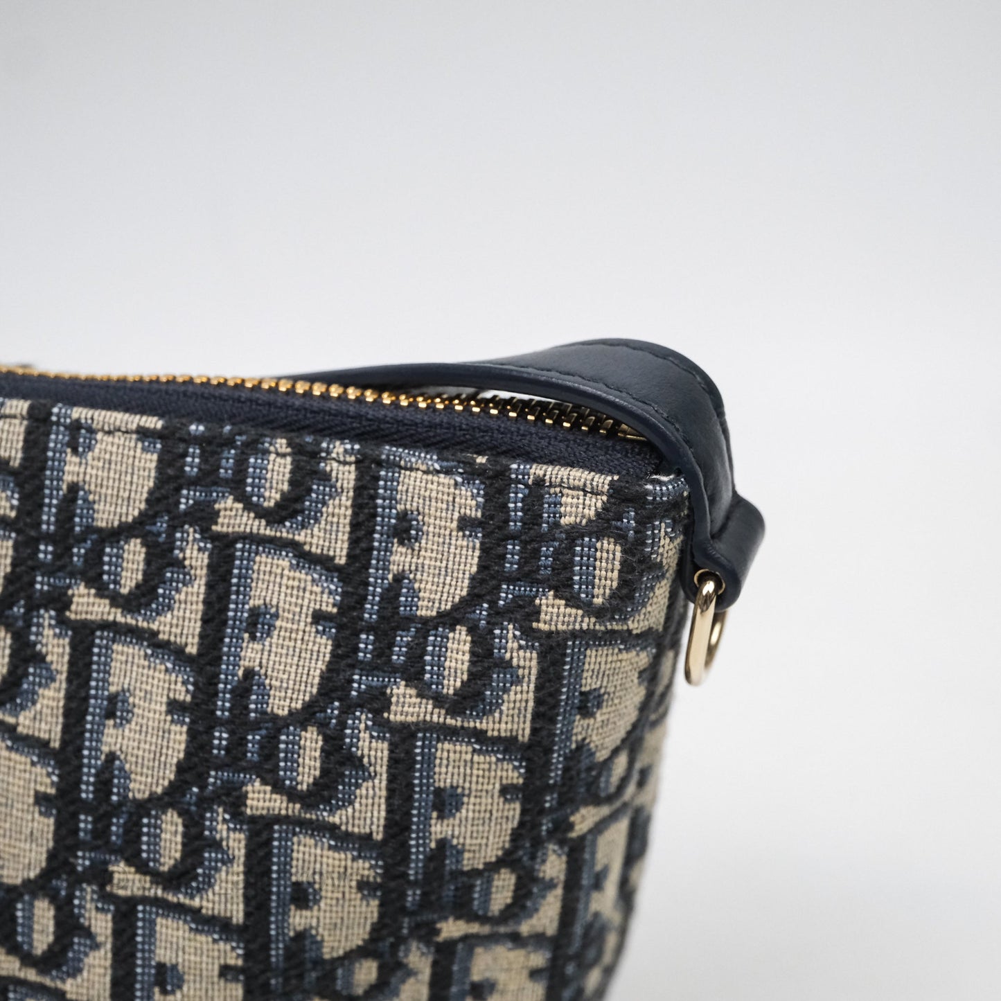 Christian Dior Medium Travel Nomad Pouch Light Gold Hardware