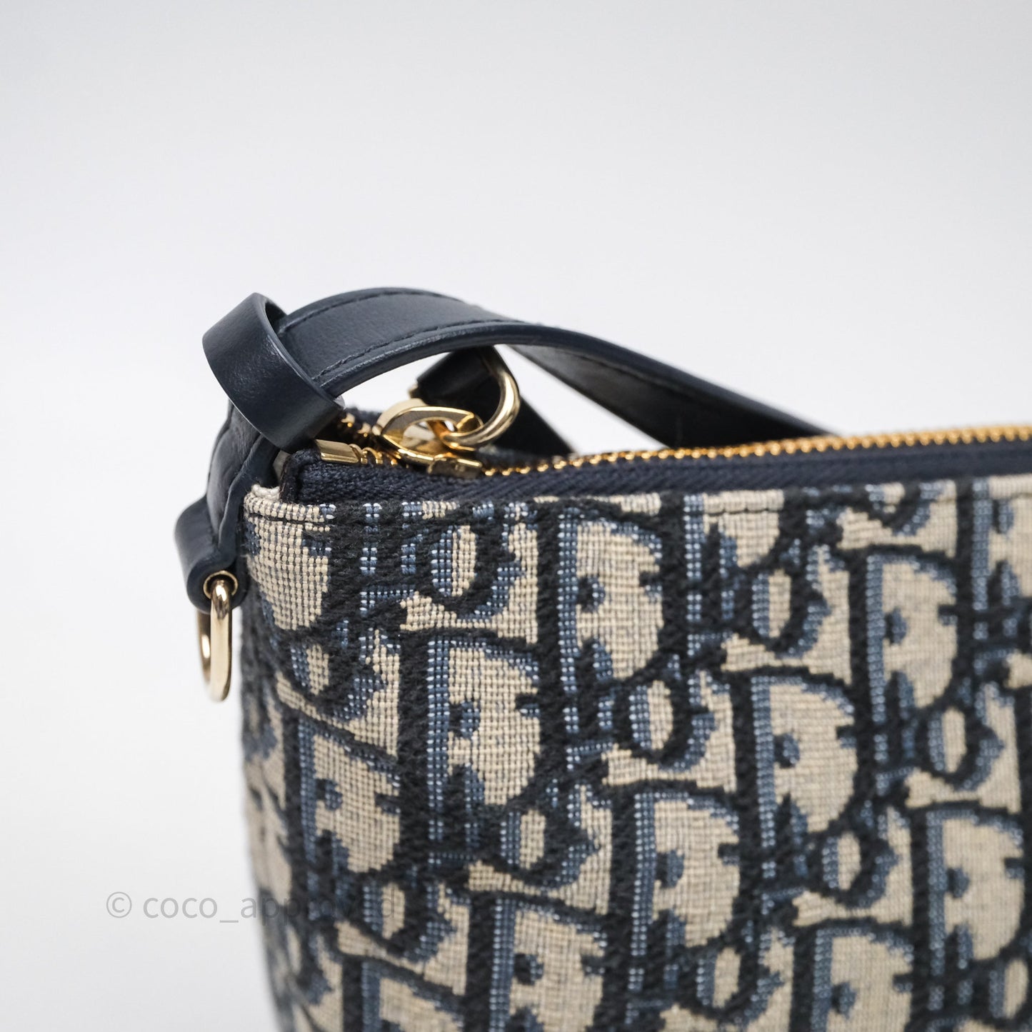 Christian Dior Medium Travel Nomad Pouch Light Gold Hardware