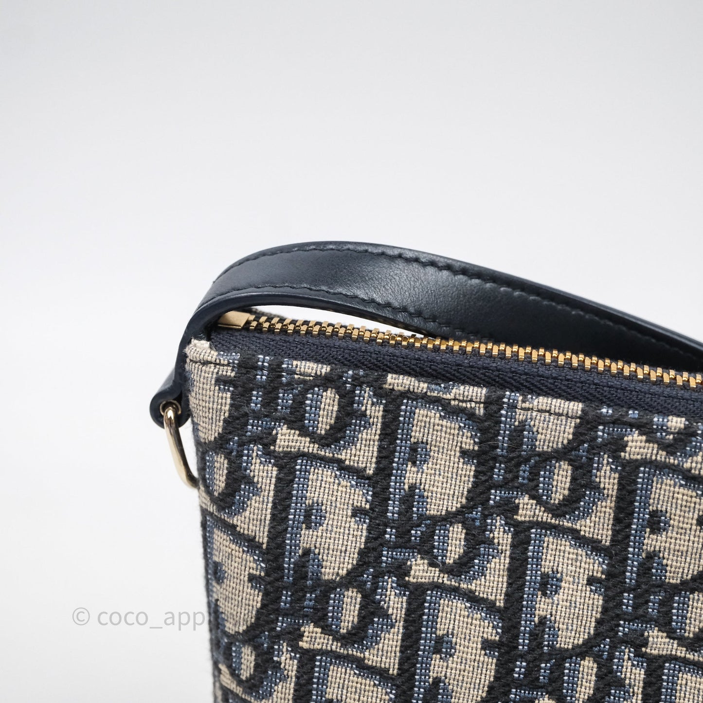 Christian Dior Medium Travel Nomad Pouch Light Gold Hardware