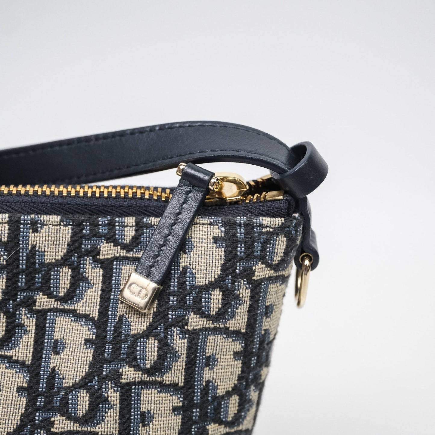 Christian Dior Medium Travel Nomad Pouch Light Gold Hardware