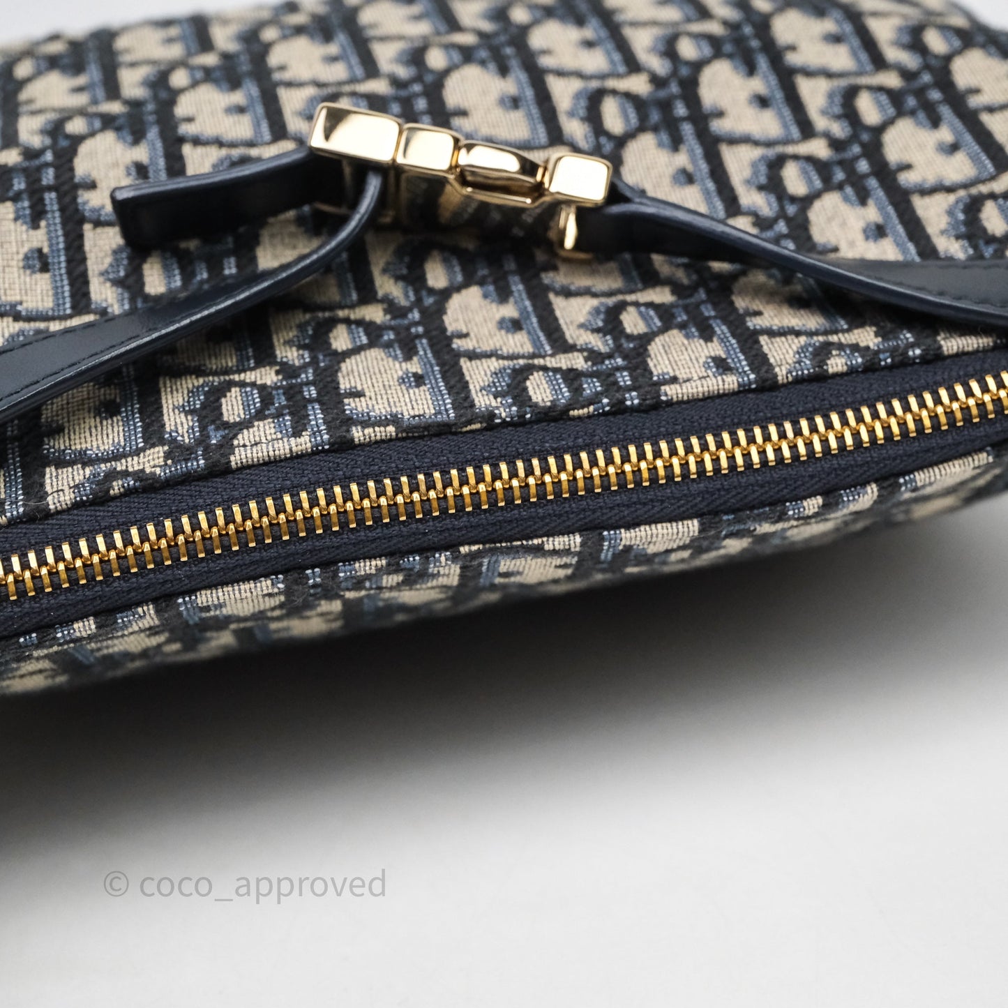 Christian Dior Medium Travel Nomad Pouch Light Gold Hardware