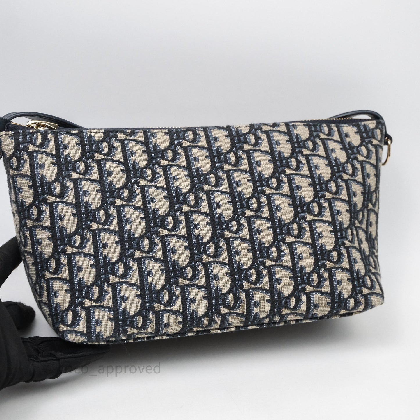 Christian Dior Medium Travel Nomad Pouch Light Gold Hardware