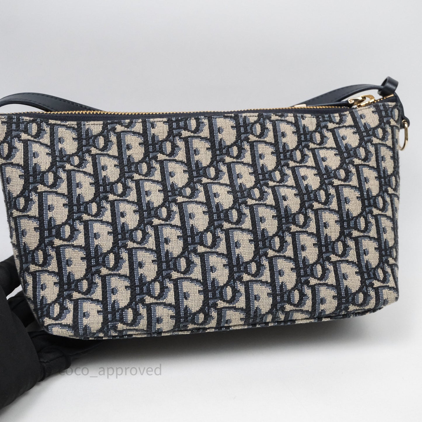 Christian Dior Medium Travel Nomad Pouch Light Gold Hardware
