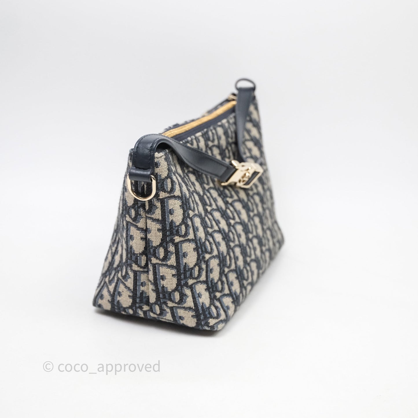 Christian Dior Medium Travel Nomad Pouch Light Gold Hardware