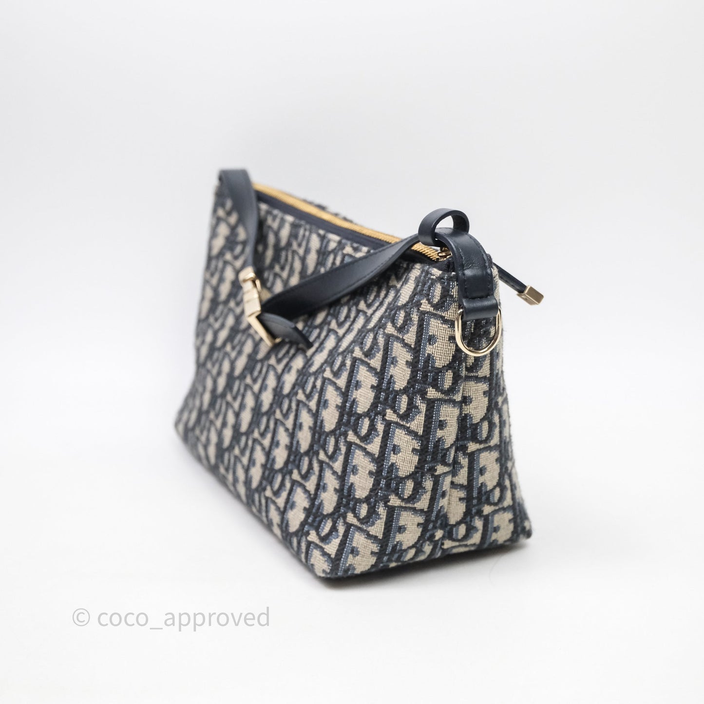 Christian Dior Medium Travel Nomad Pouch Light Gold Hardware