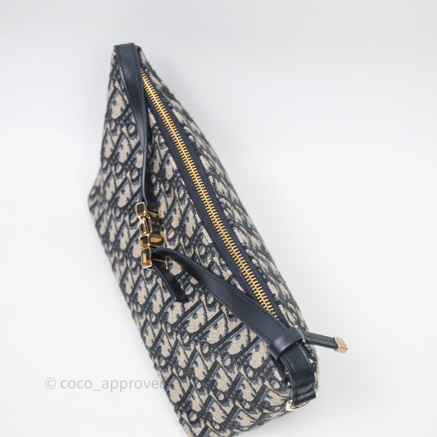 Christian Dior Medium Travel Nomad Pouch Light Gold Hardware