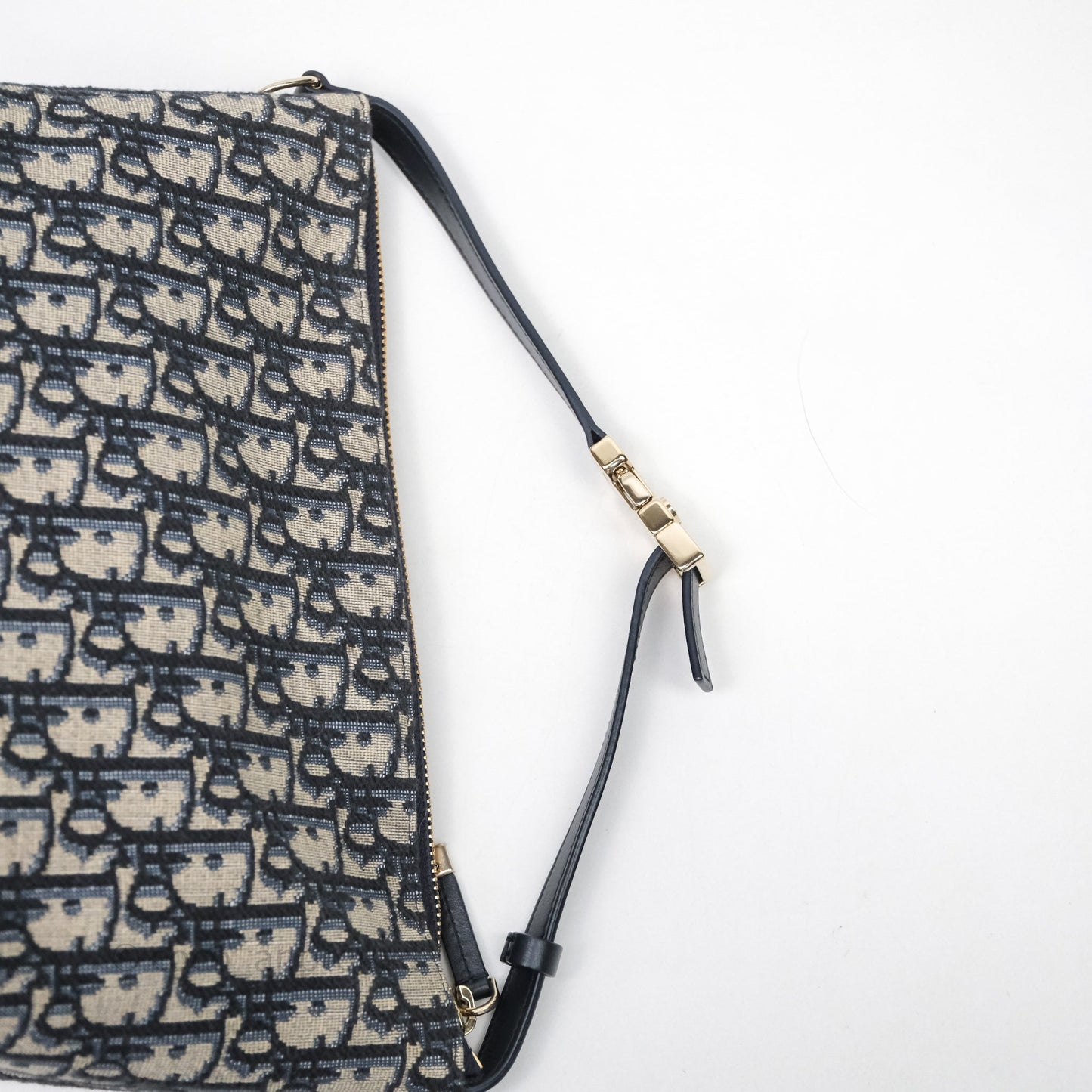 Christian Dior Medium Travel Nomad Pouch Light Gold Hardware