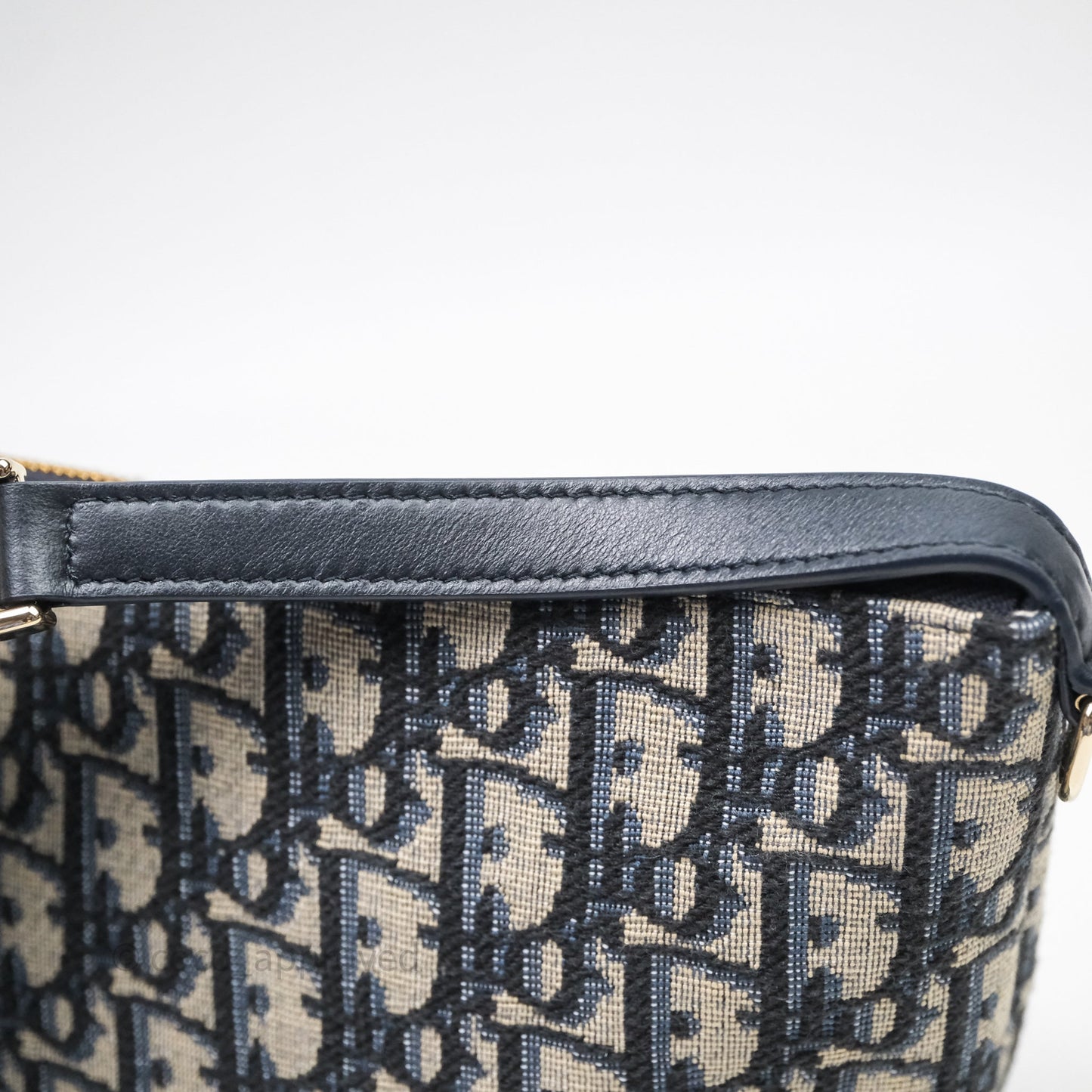 Christian Dior Medium Travel Nomad Pouch Light Gold Hardware