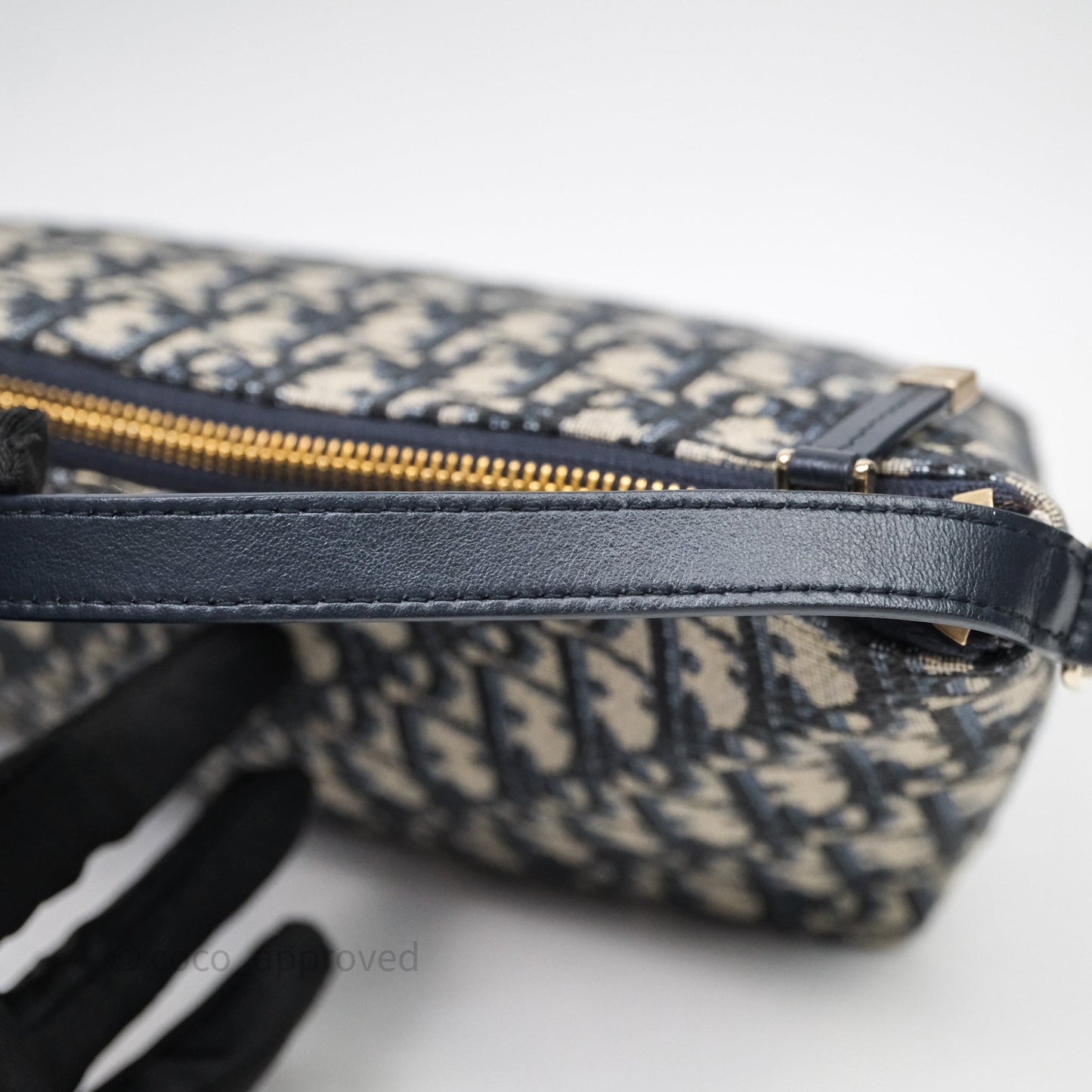 Christian Dior Medium Travel Nomad Pouch Light Gold Hardware
