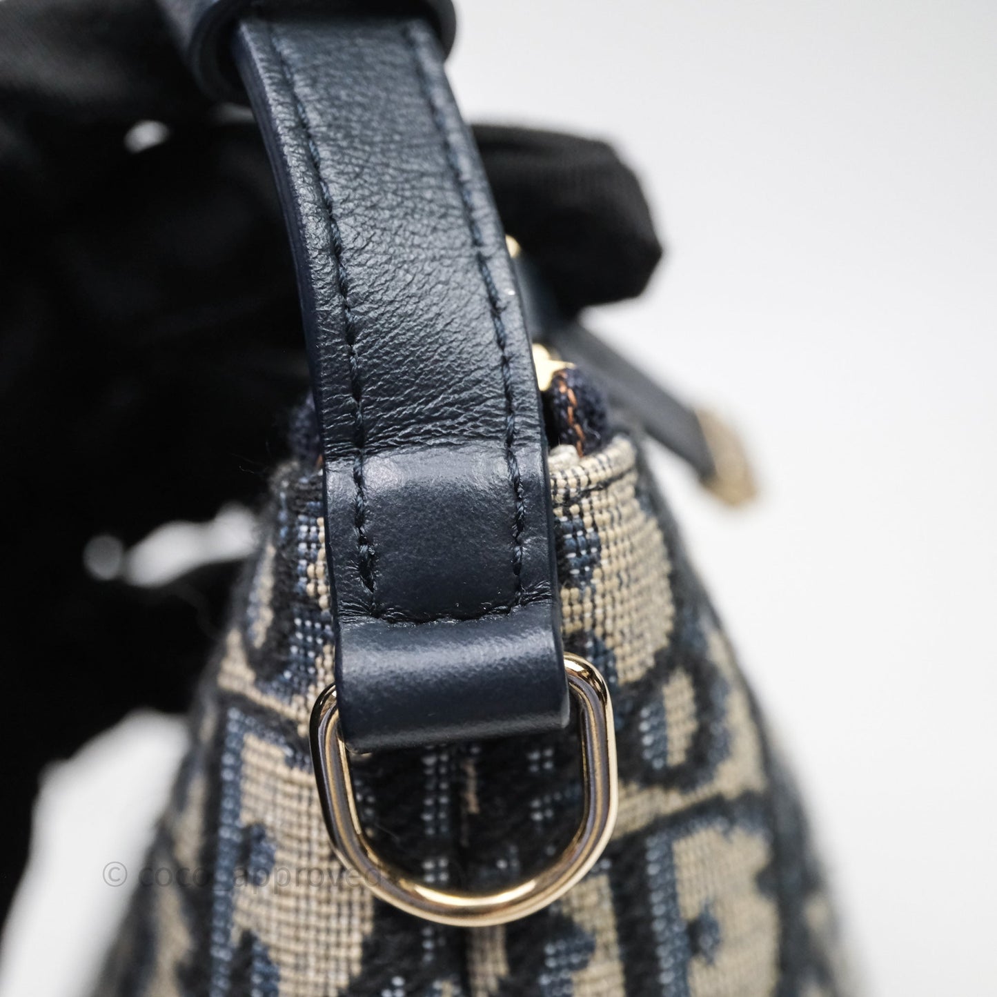 Christian Dior Medium Travel Nomad Pouch Light Gold Hardware