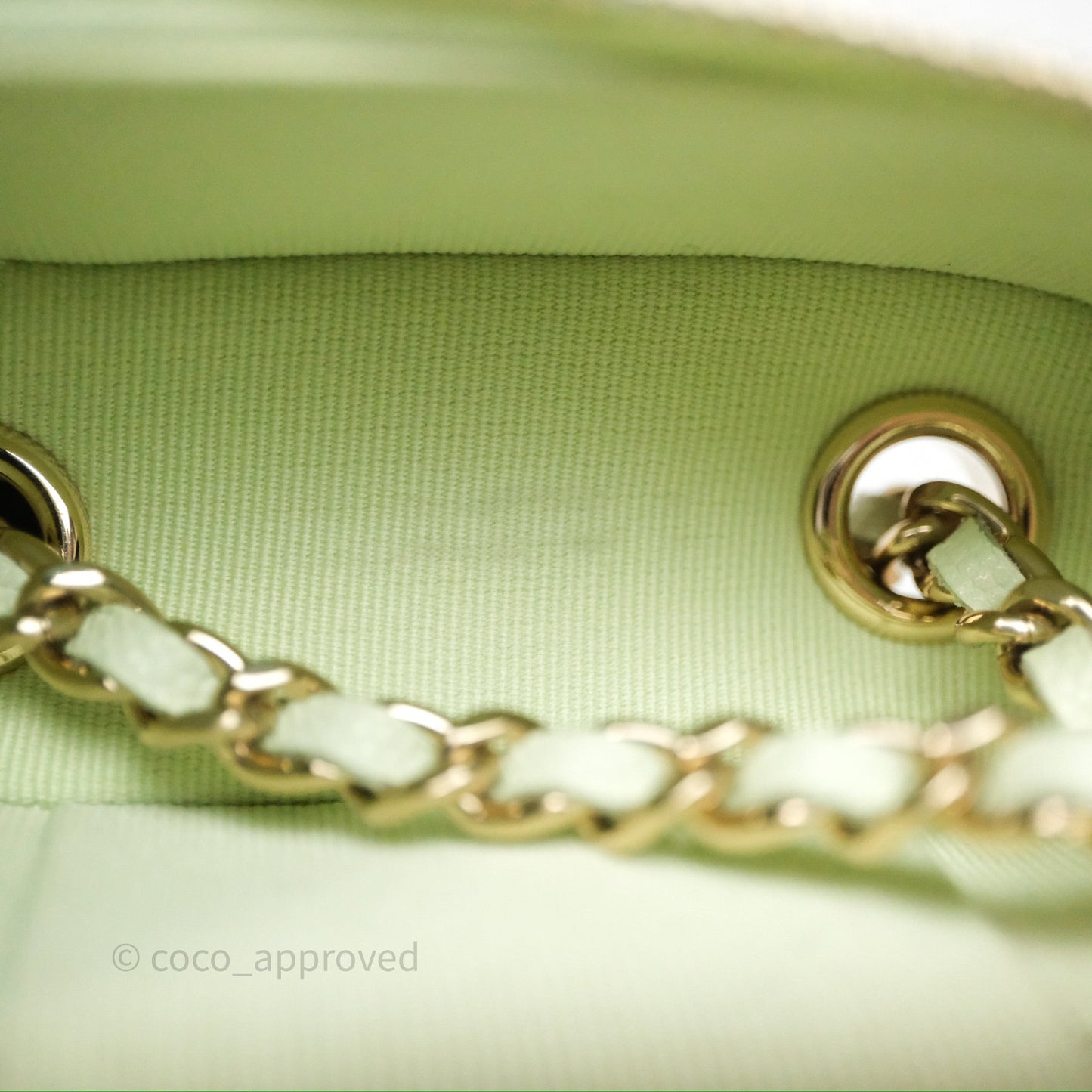 Chanel Vanity Phone Holder With Chain Light Mint Green Caviar Gold Hardware