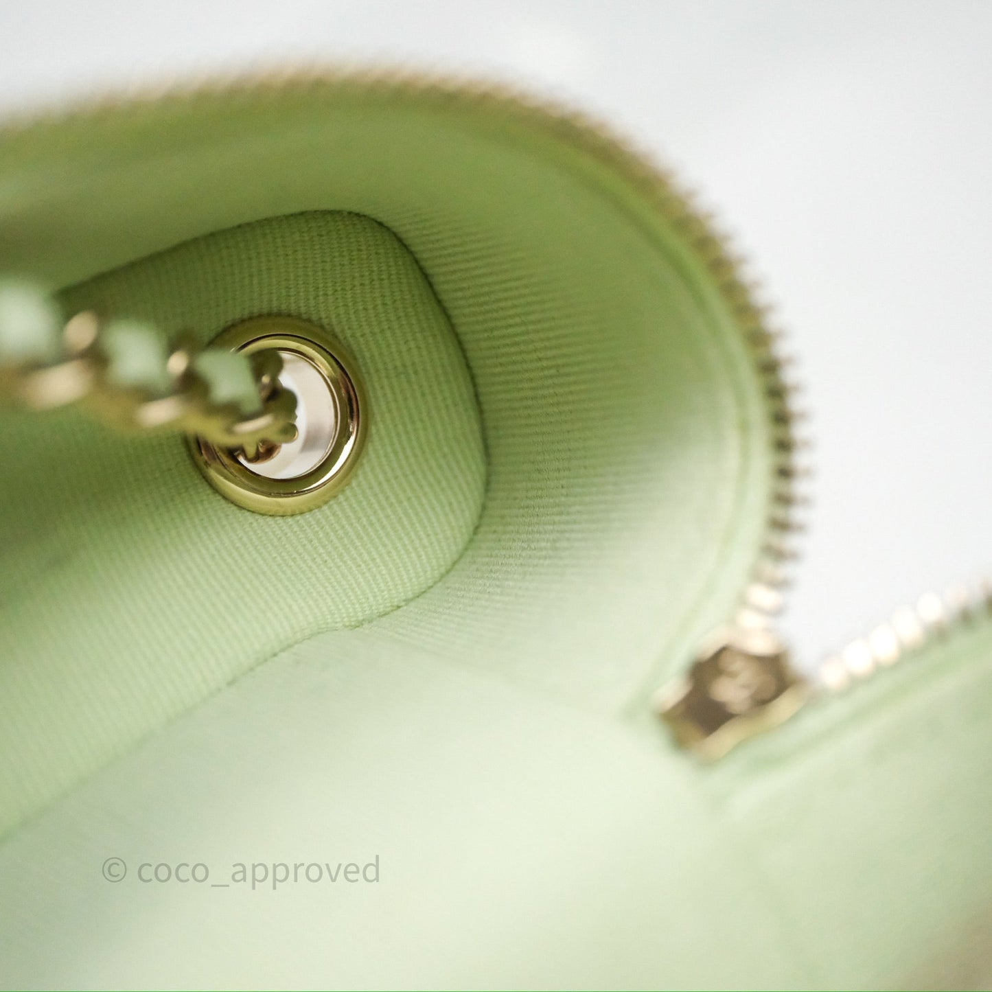 Chanel Vanity Phone Holder With Chain Light Mint Green Caviar Gold Hardware