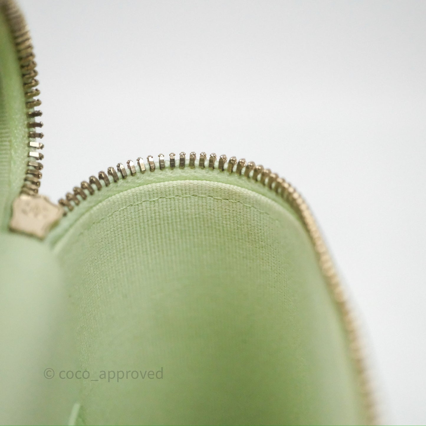 Chanel Vanity Phone Holder With Chain Light Mint Green Caviar Gold Hardware