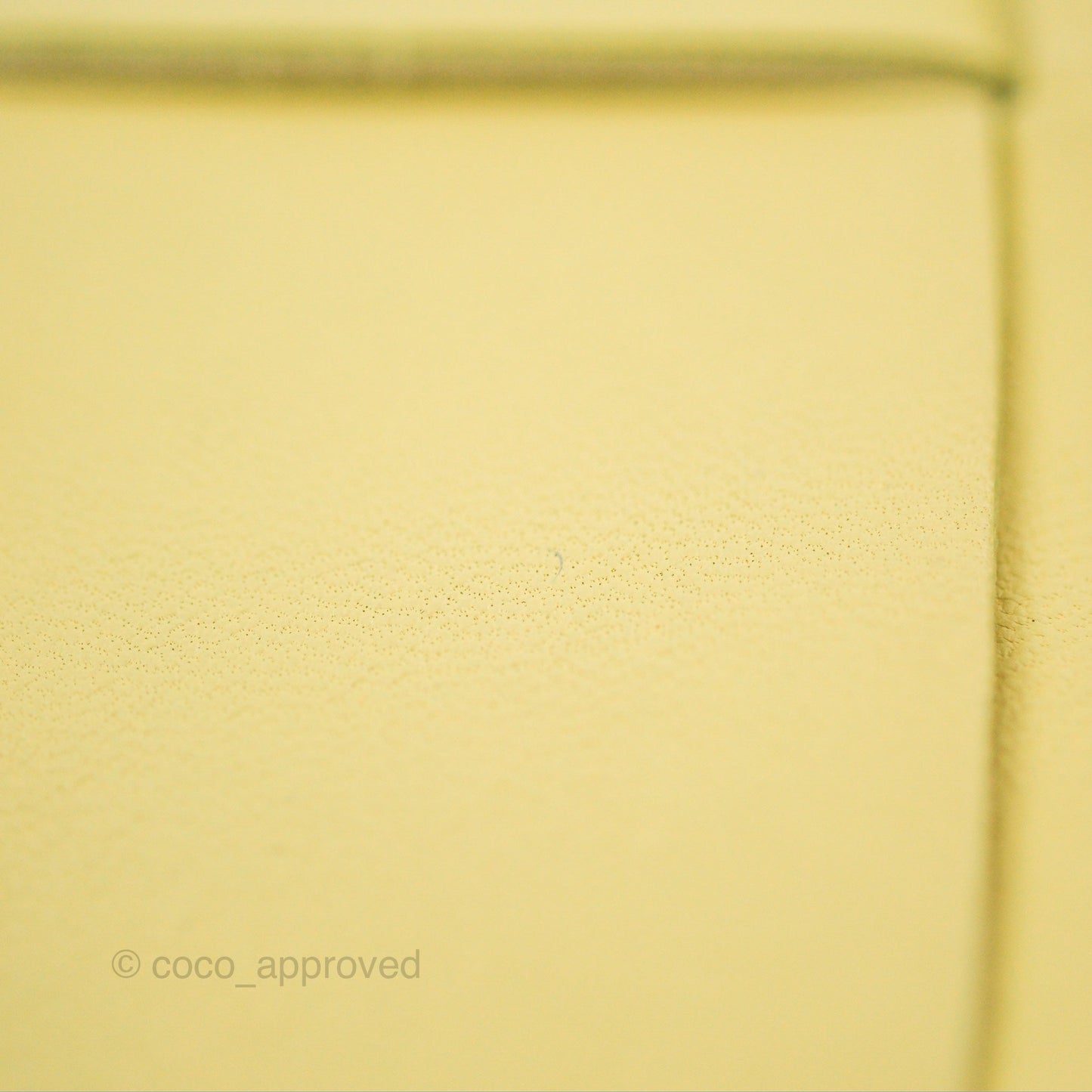 Bottega Veneta Mini Cassette Camera Bag Ice Cream Yellow Intreccio Lambskin