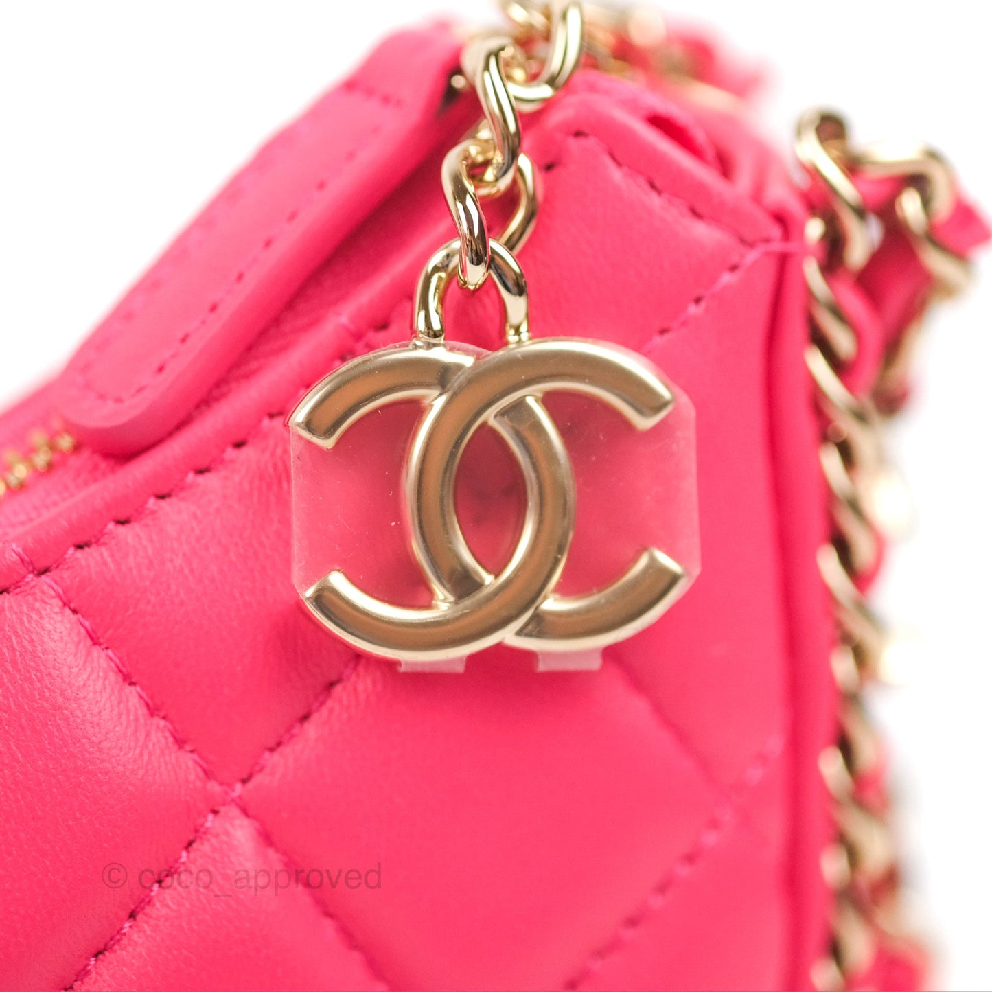 Chanel Small Hobo Bag Pink Lambskin Gold Hardware 23S