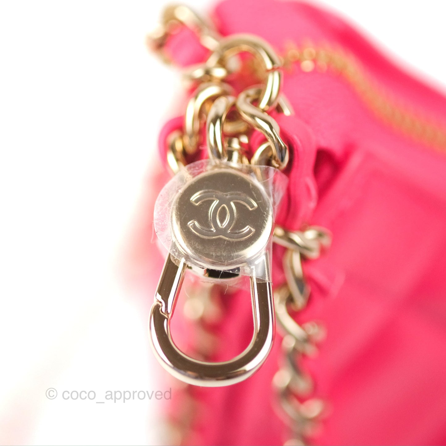 Chanel Small Hobo Bag Pink Lambskin Gold Hardware 23S