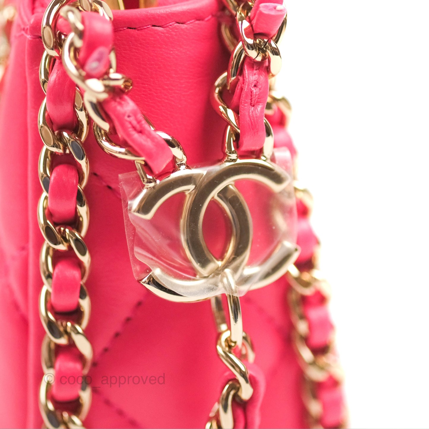 Chanel Small Hobo Bag Pink Lambskin Gold Hardware 23S