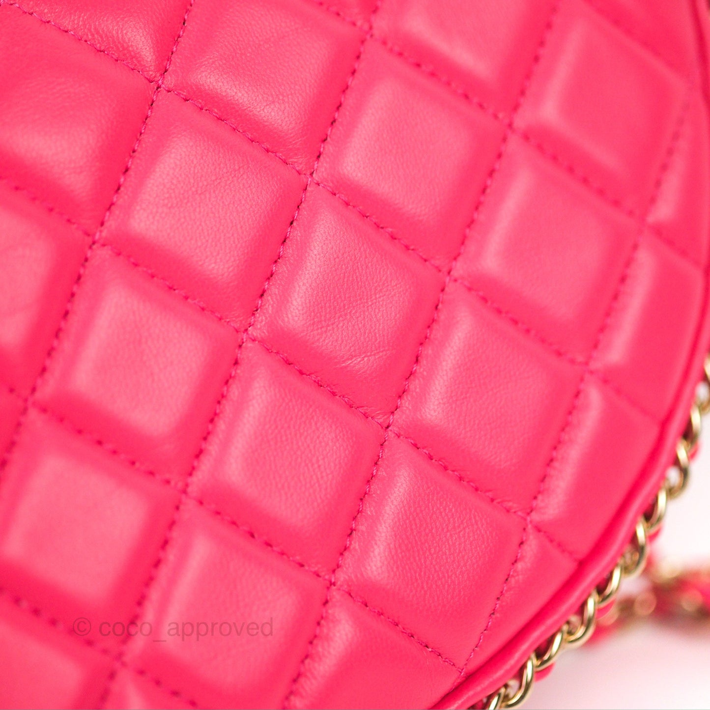 Chanel Small Hobo Bag Pink Lambskin Gold Hardware 23S
