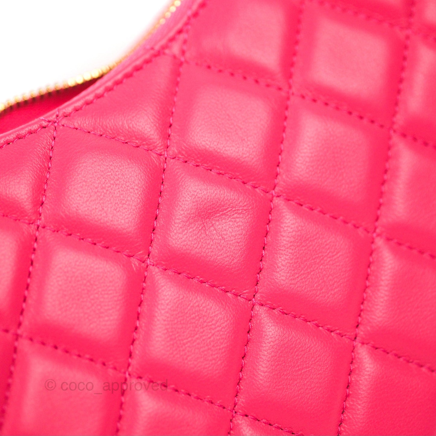 Chanel Small Hobo Bag Pink Lambskin Gold Hardware 23S