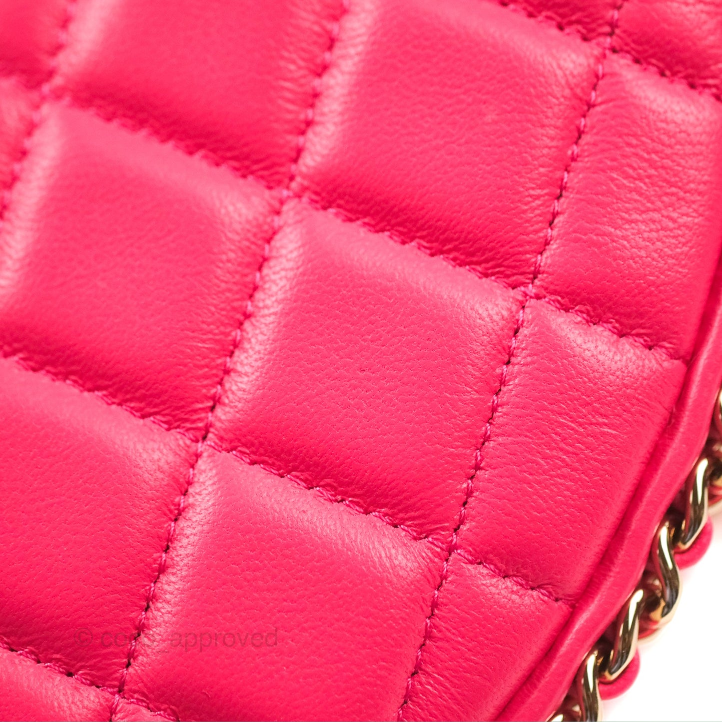 Chanel Small Hobo Bag Pink Lambskin Gold Hardware 23S