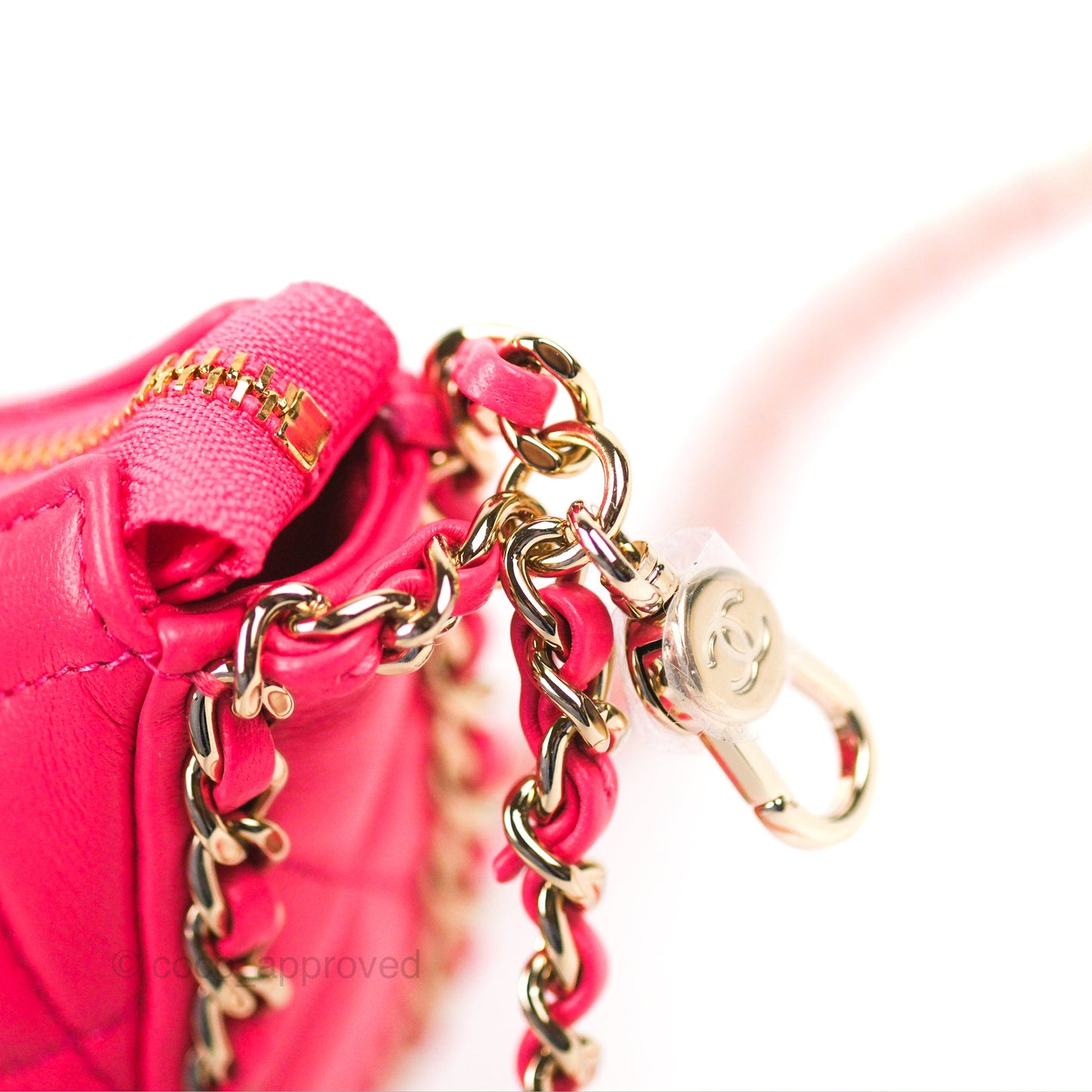 Chanel Small Hobo Bag Pink Lambskin Gold Hardware 23S