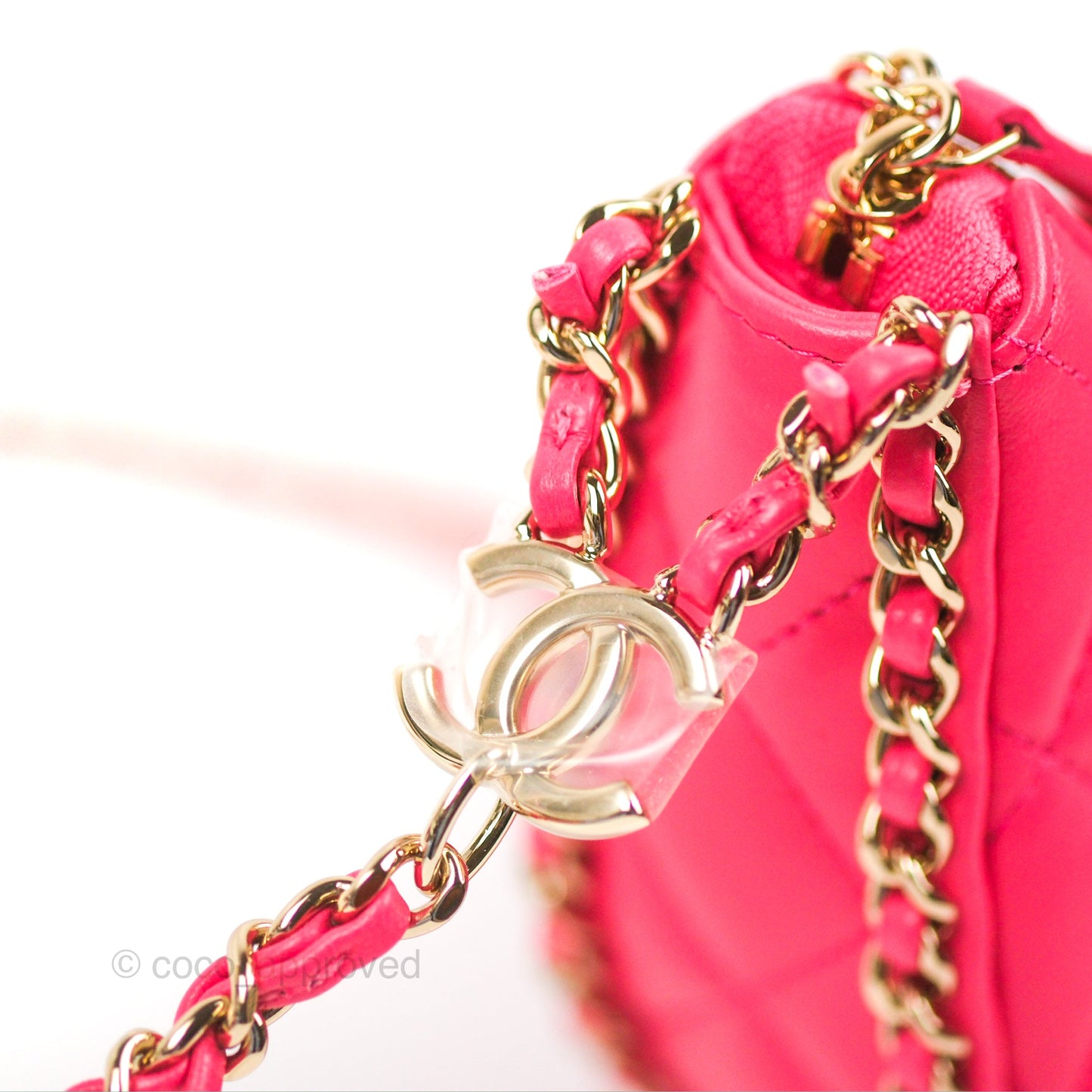 Chanel Small Hobo Bag Pink Lambskin Gold Hardware 23S