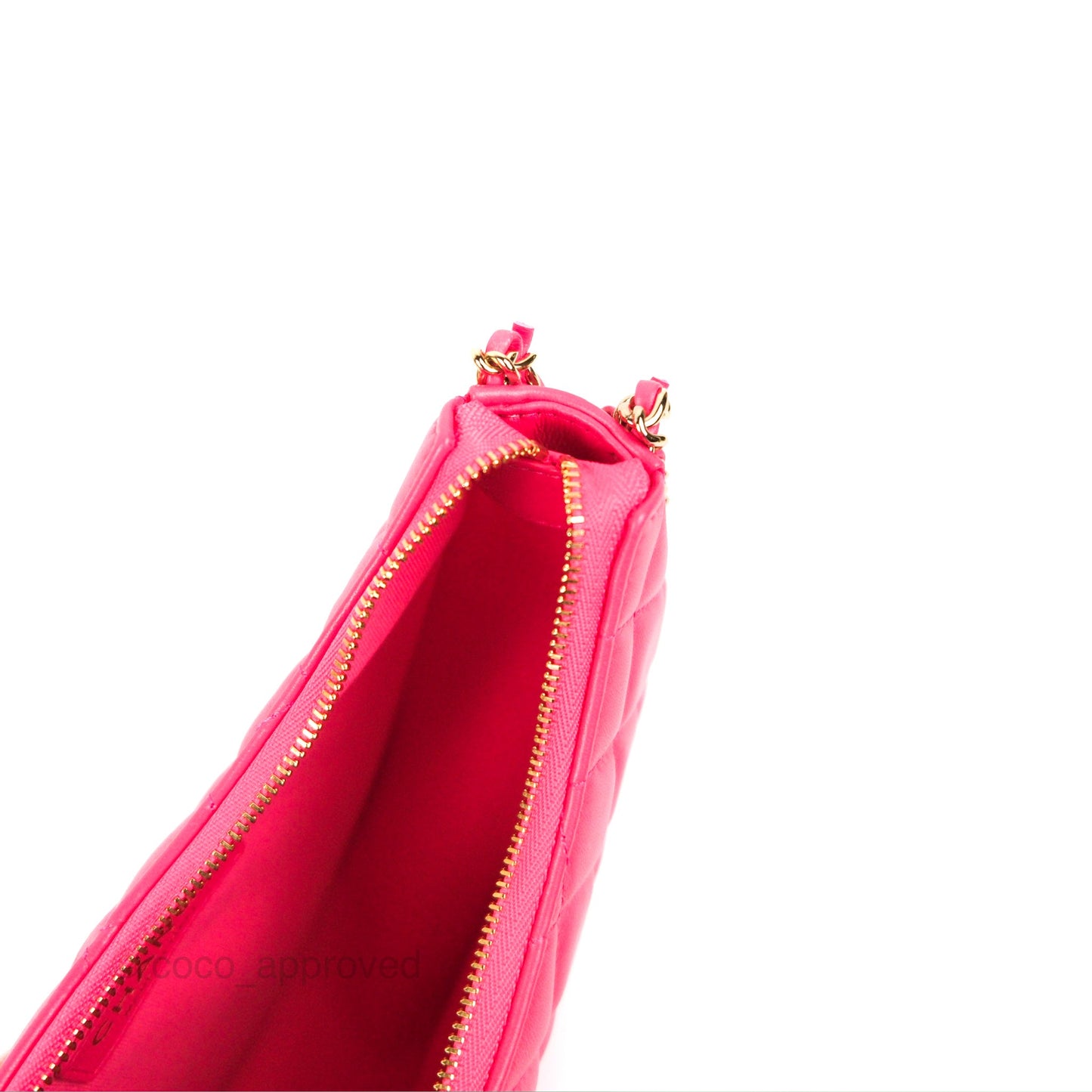 Chanel Small Hobo Bag Pink Lambskin Gold Hardware 23S