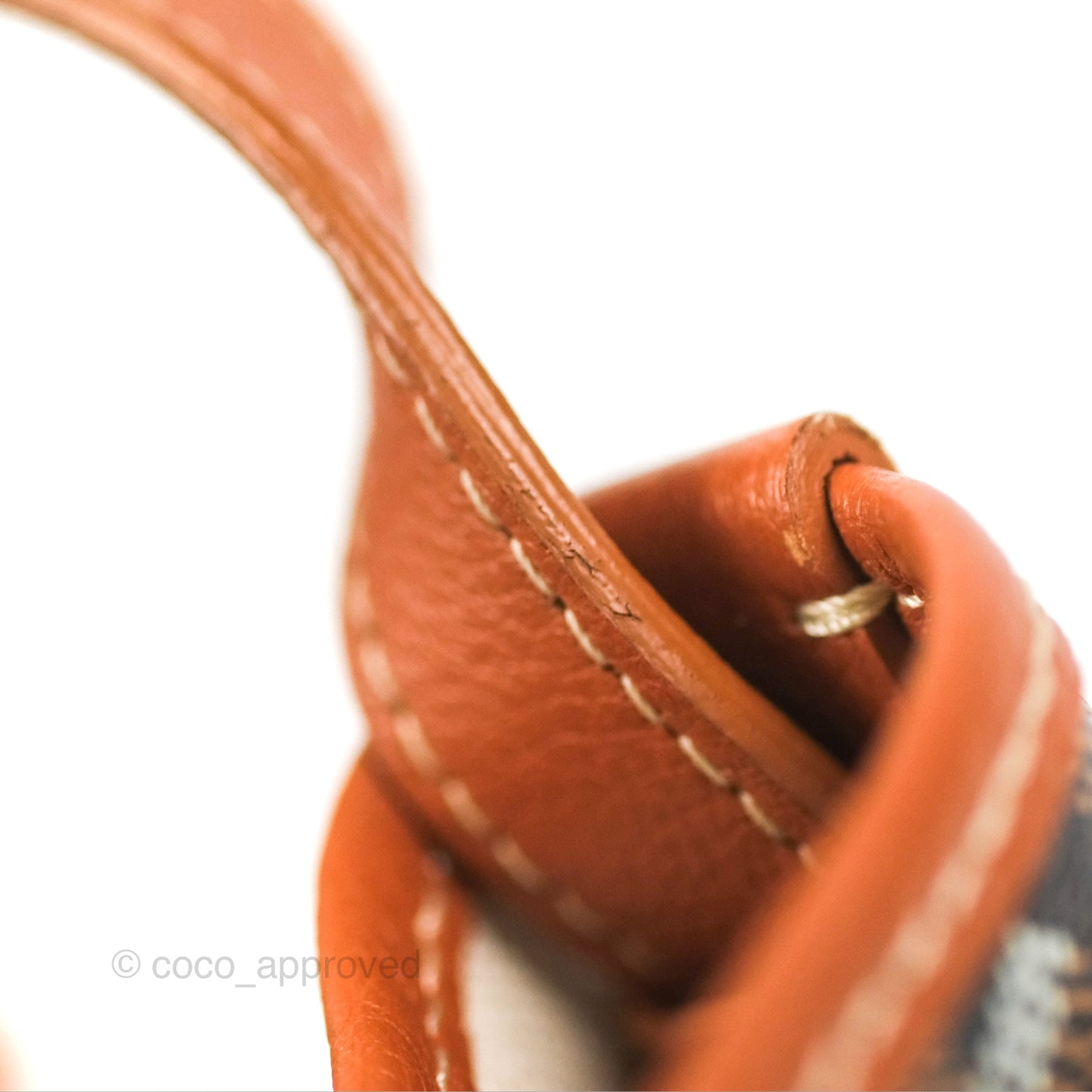 Goyard Petit Flot Bucket Bag Black & Tan Goyardine