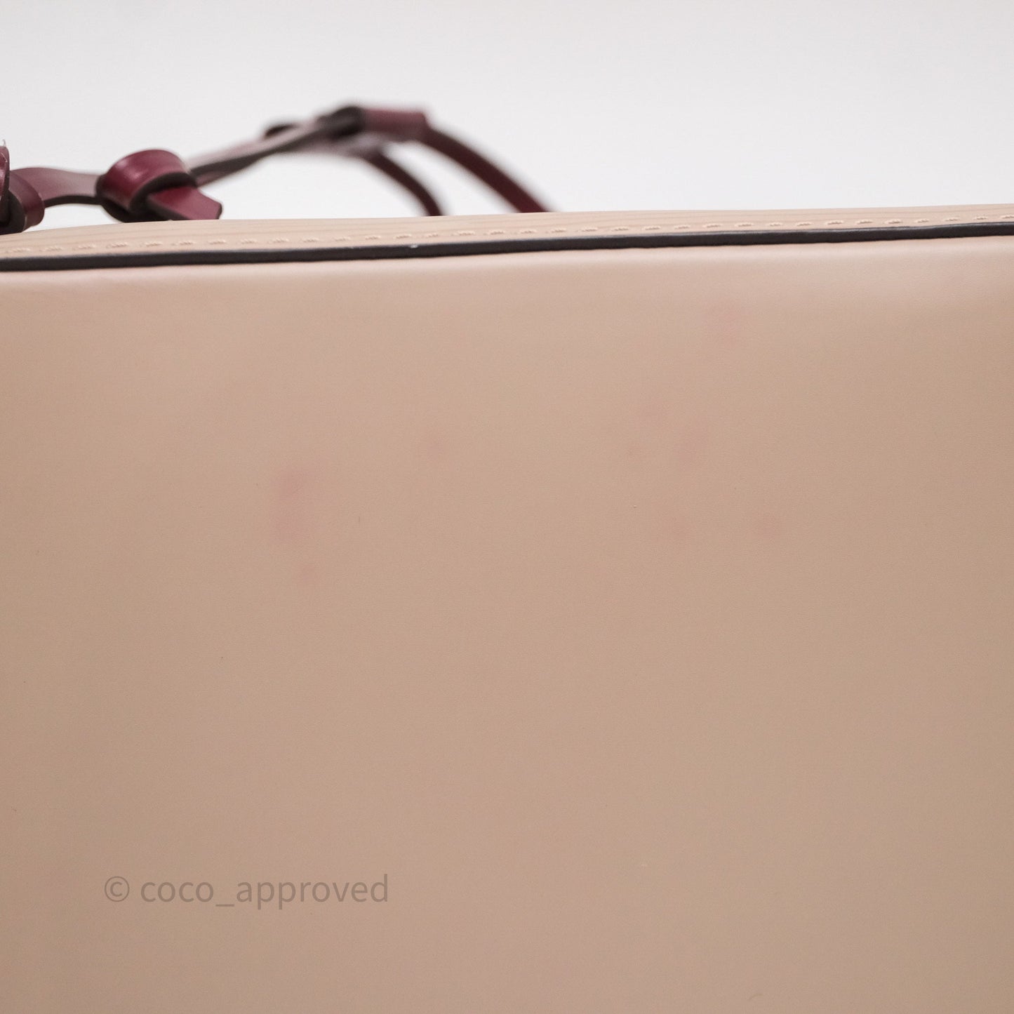 Louis Vuitton Neonoe BB Epi Beige