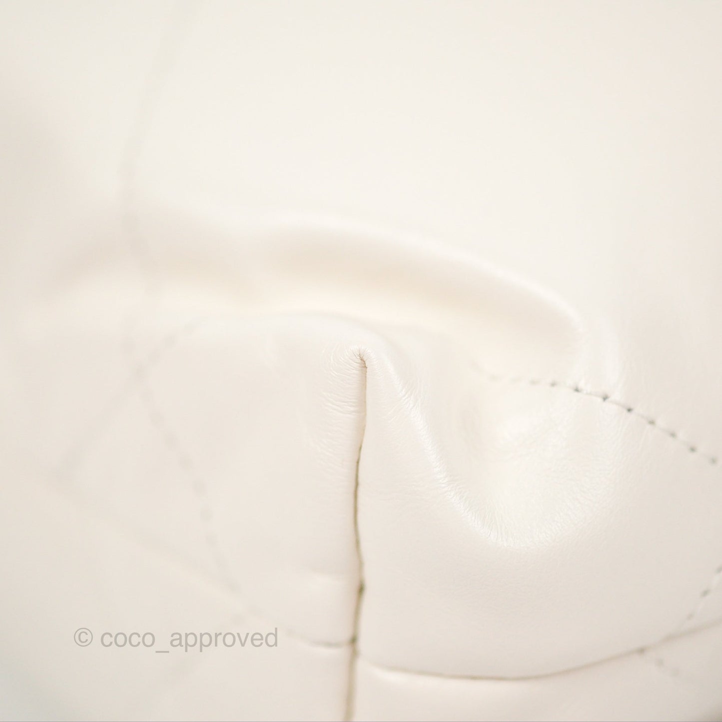 Chanel 22 Mini Bag White Crumpled Calfskin