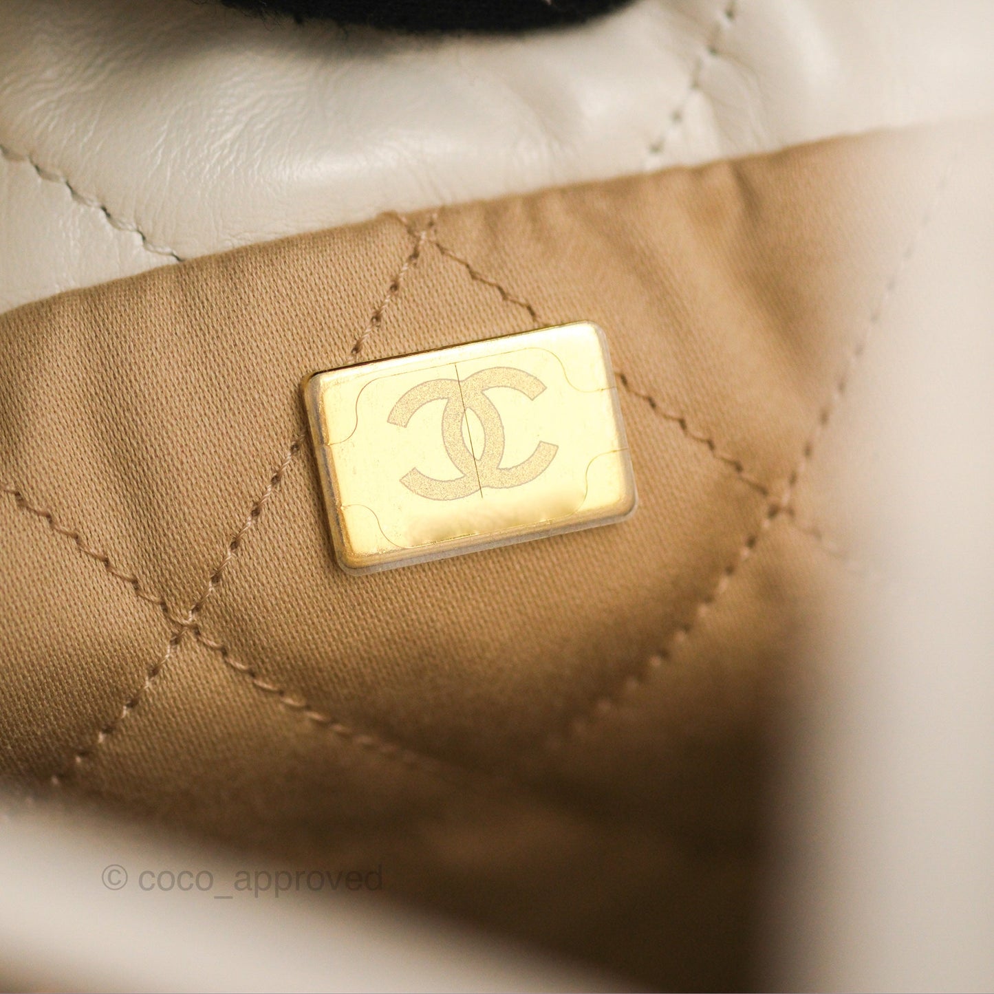 Chanel 22 Mini Bag White Crumpled Calfskin