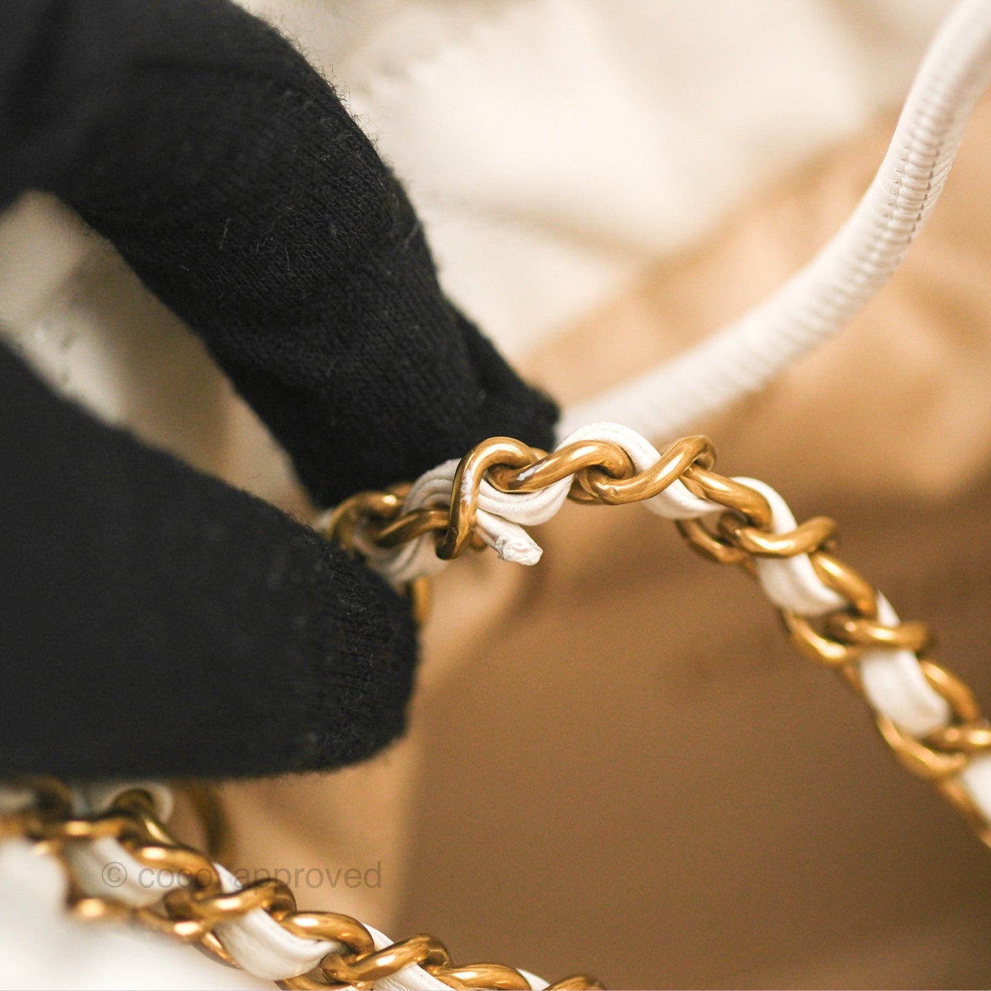 Chanel 22 Mini Bag White Crumpled Calfskin