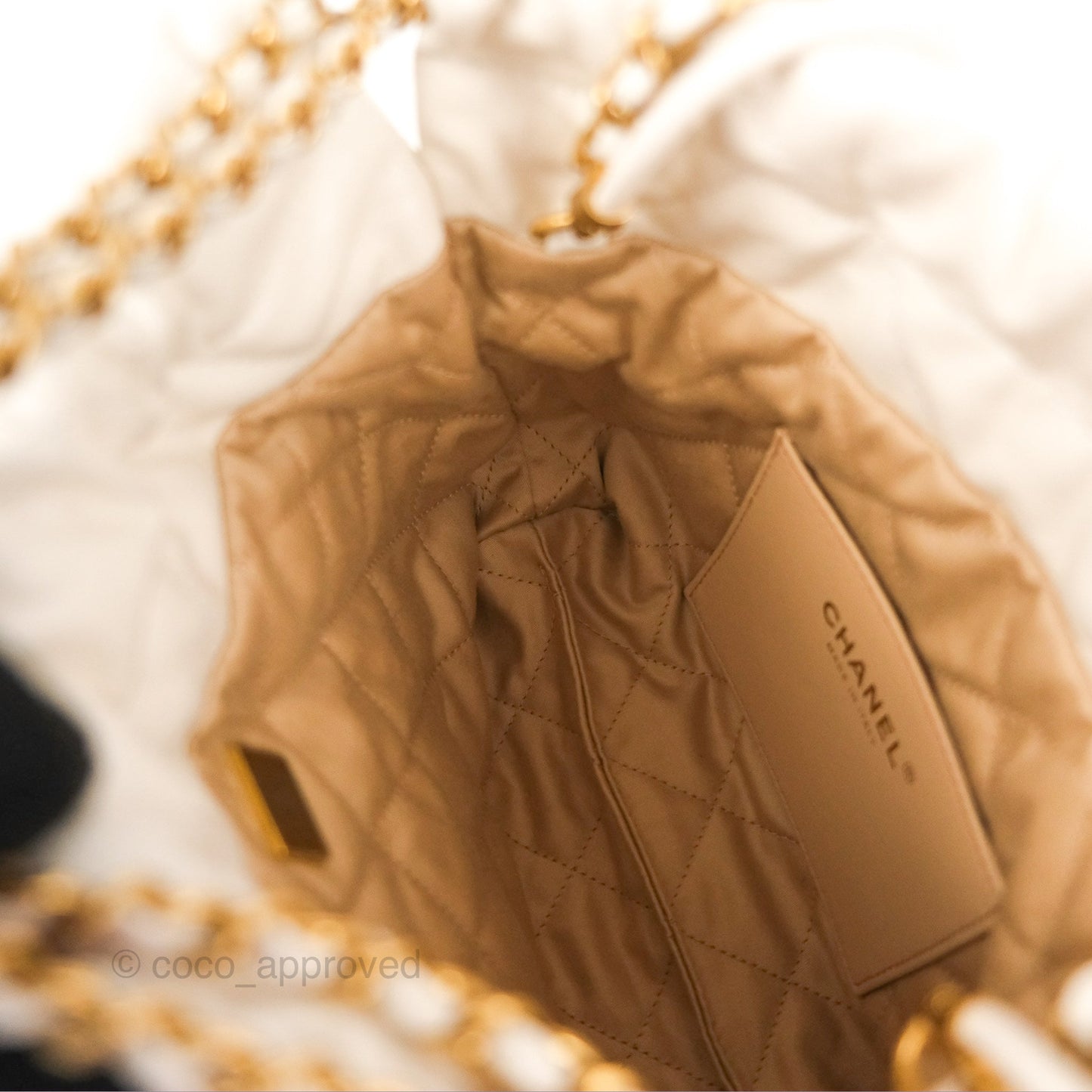 Chanel 22 Mini Bag White Crumpled Calfskin