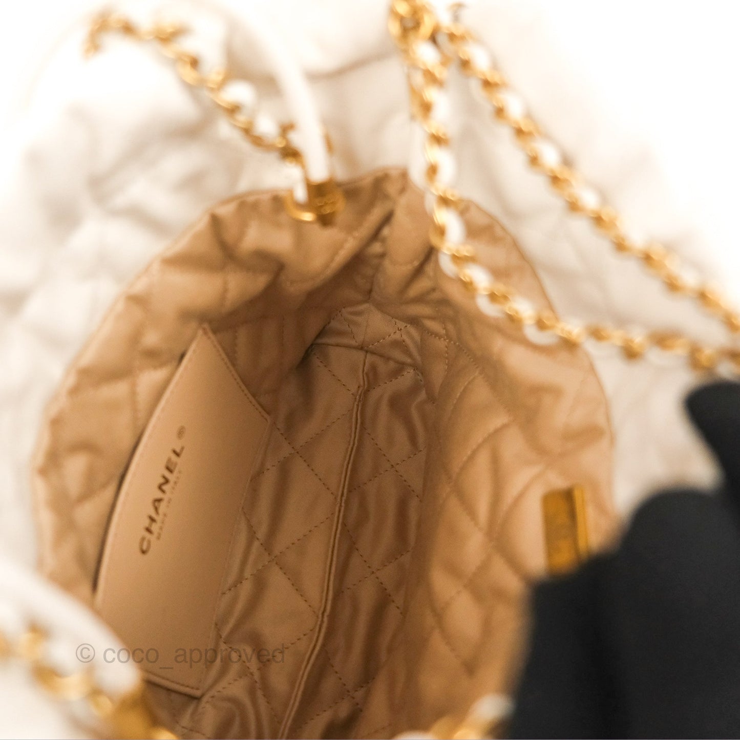 Chanel 22 Mini Bag White Crumpled Calfskin