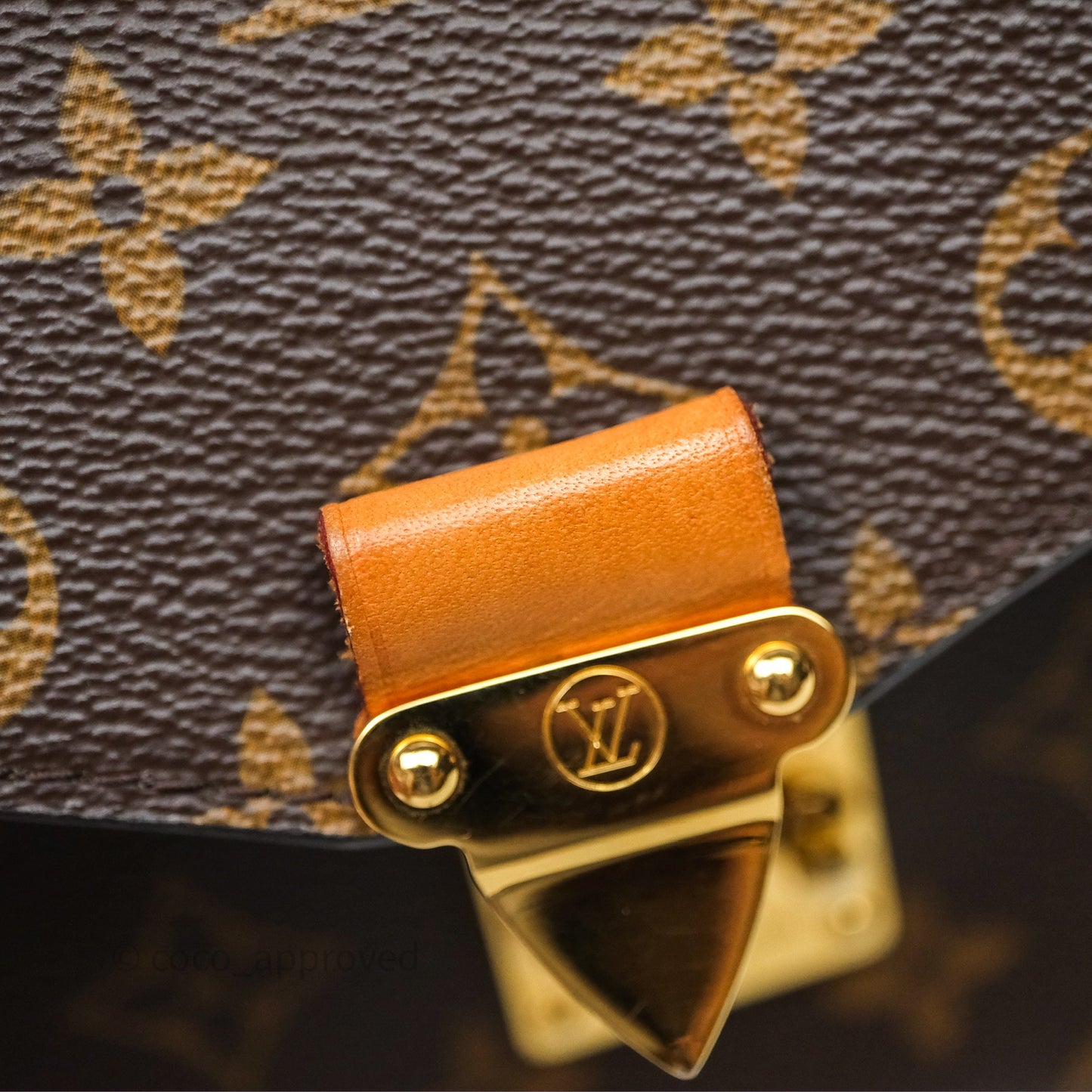 Louis Vuitton Pochette Metis Monogram