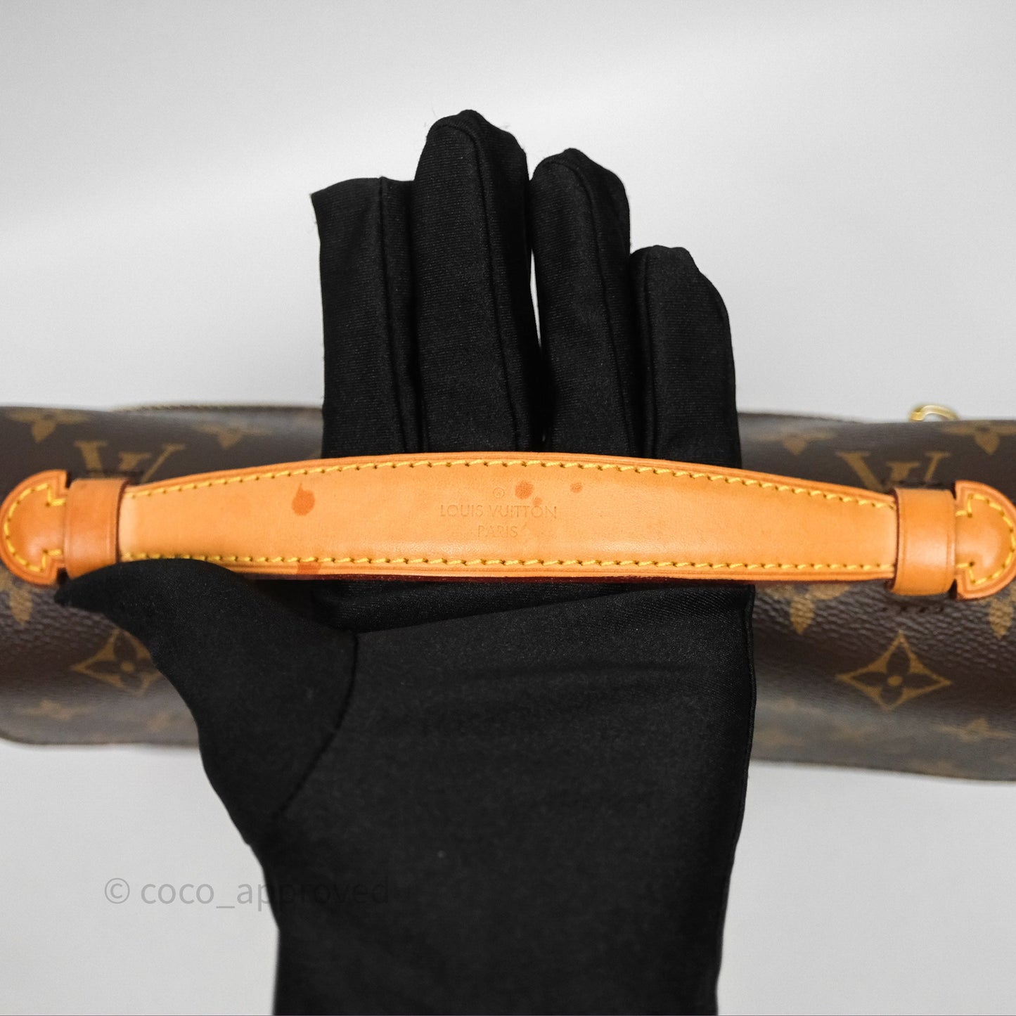 Louis Vuitton Pochette Metis Monogram